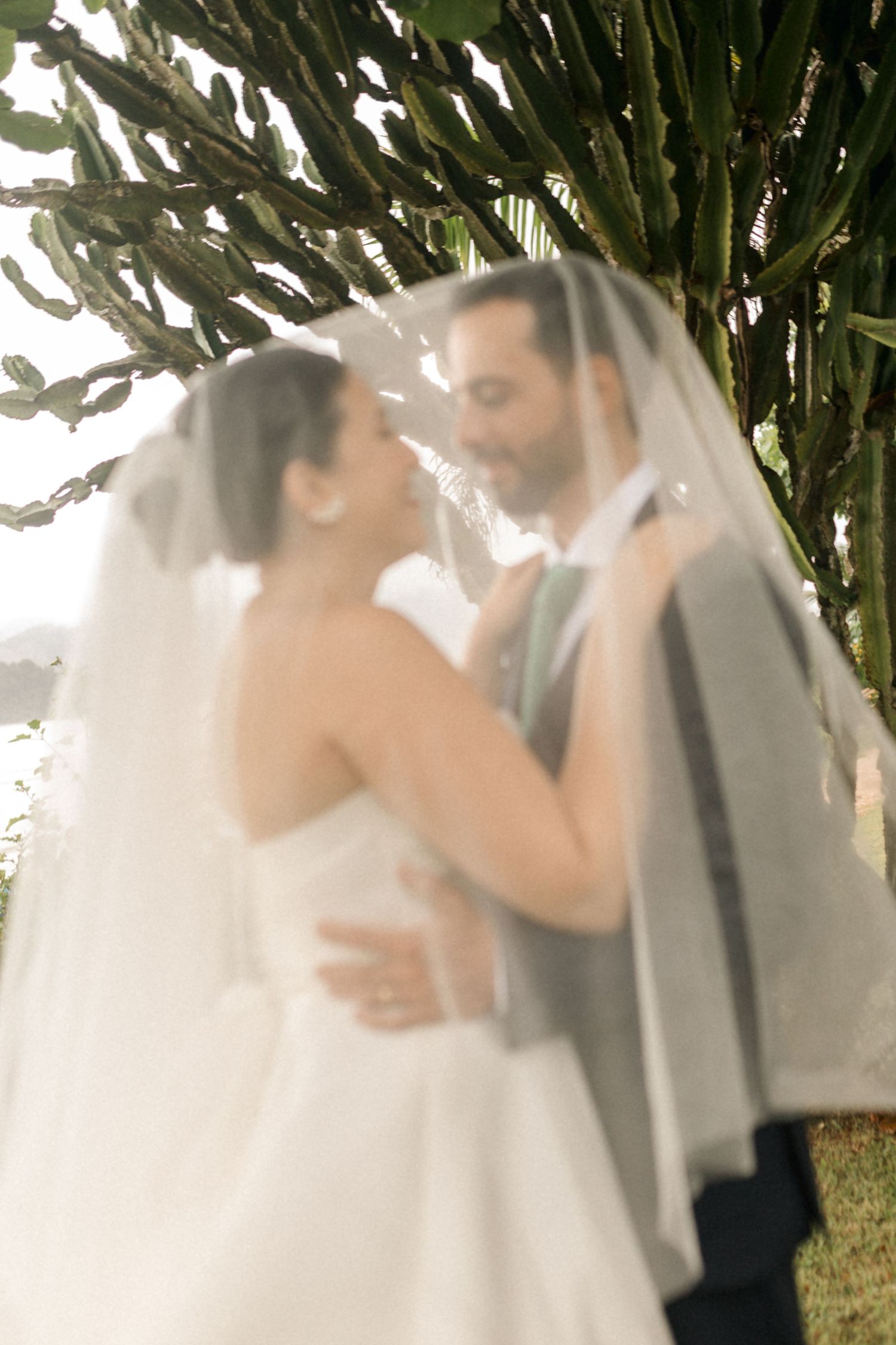 Romantic moment between newlyweds under a veil with soft lighting and greenery.
