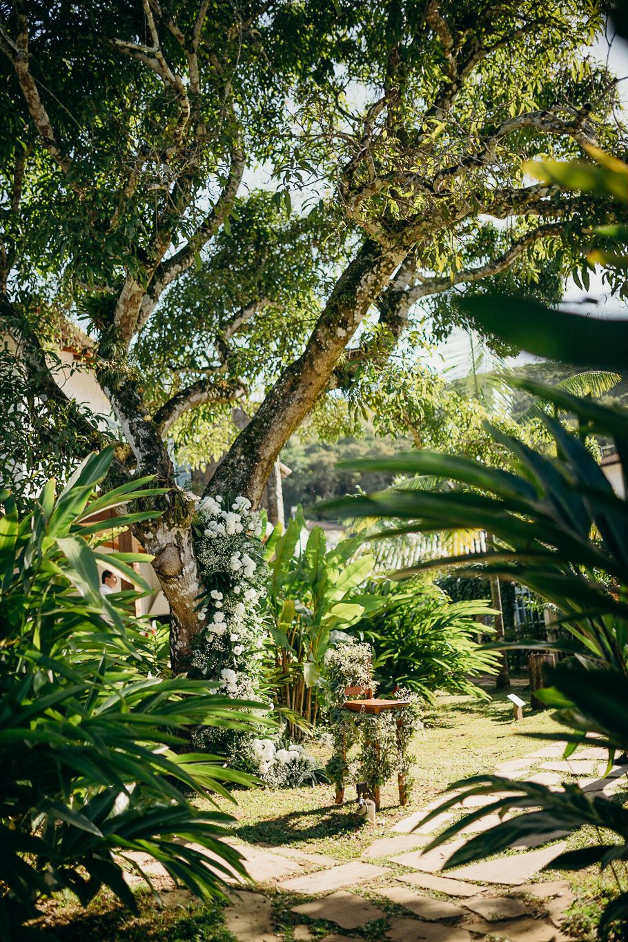 Lush tropical garden path with tall trees and exotic plants creating natural shade.