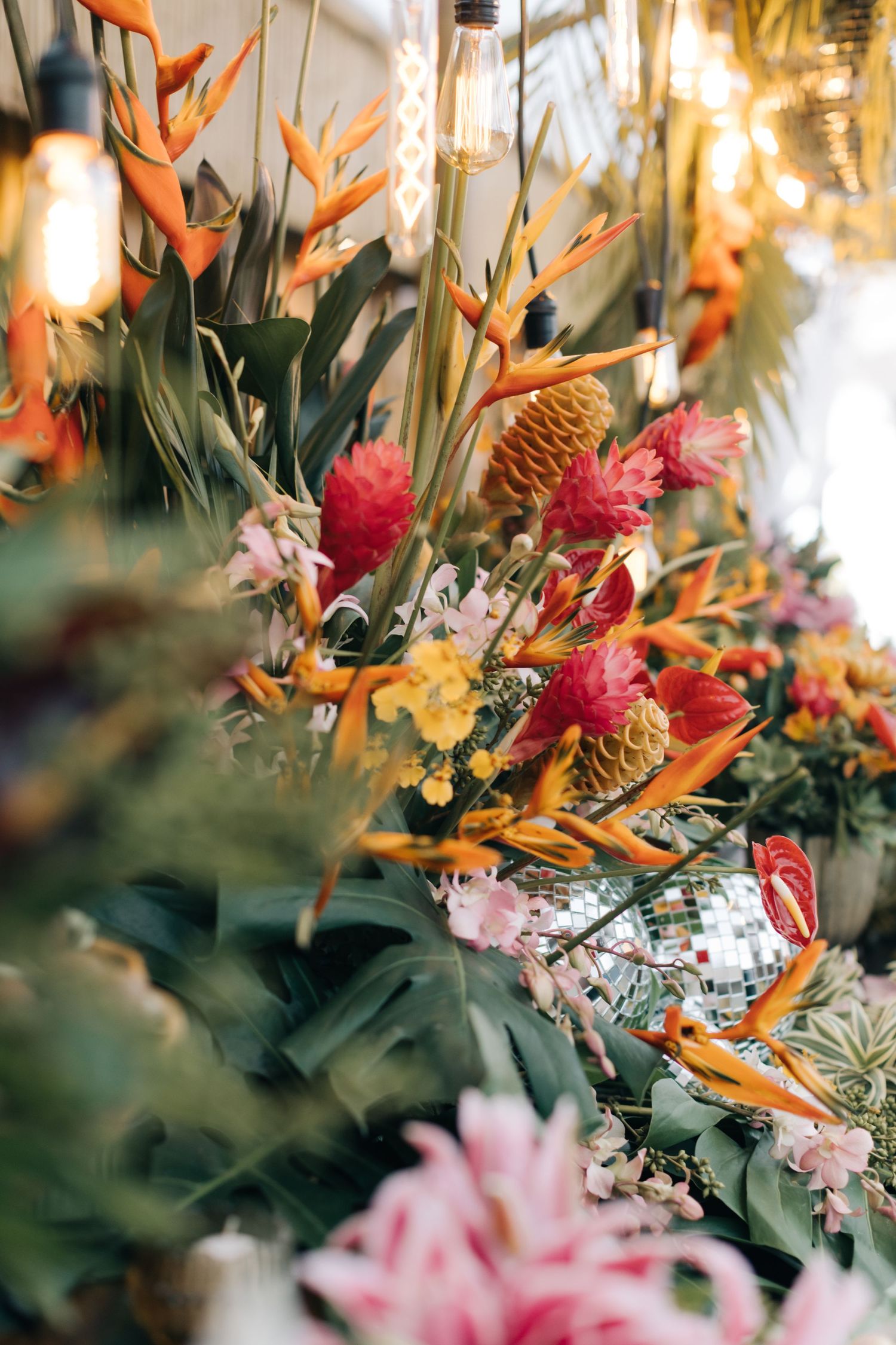 Elegant tropical flower display featuring birds of paradise, protea, and mixed blooms with ambient lighting.