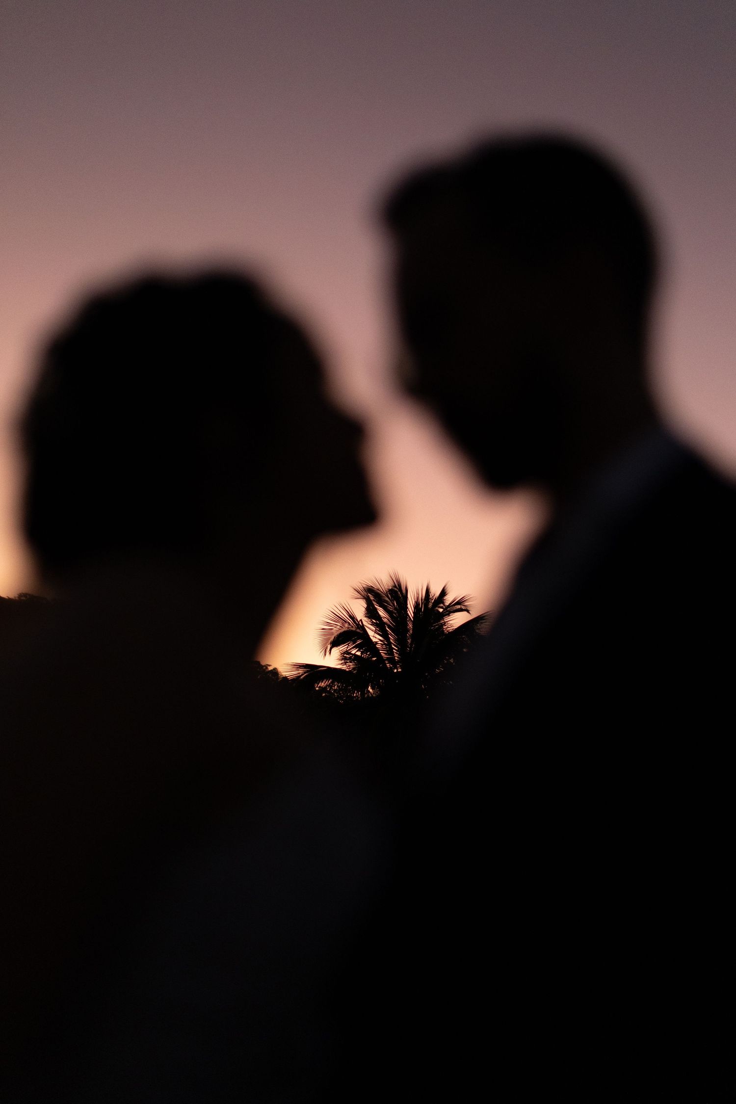Silhouette of a couple against sunset sky with palm tree in background.