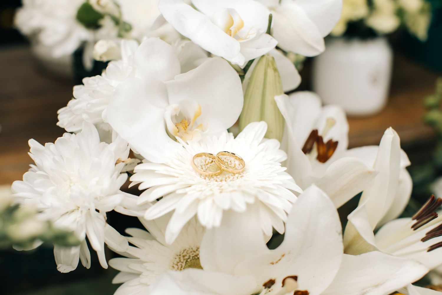 Fresh white daisies and flowers in full bloom against a dark background.