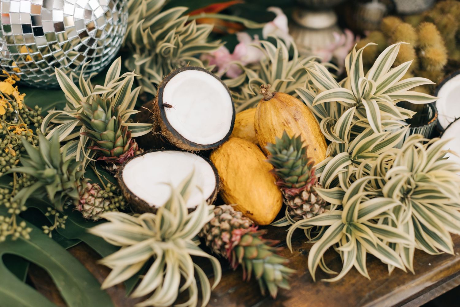 Decorative display of tropical fruits and air plants with coconuts and yellow citrus.