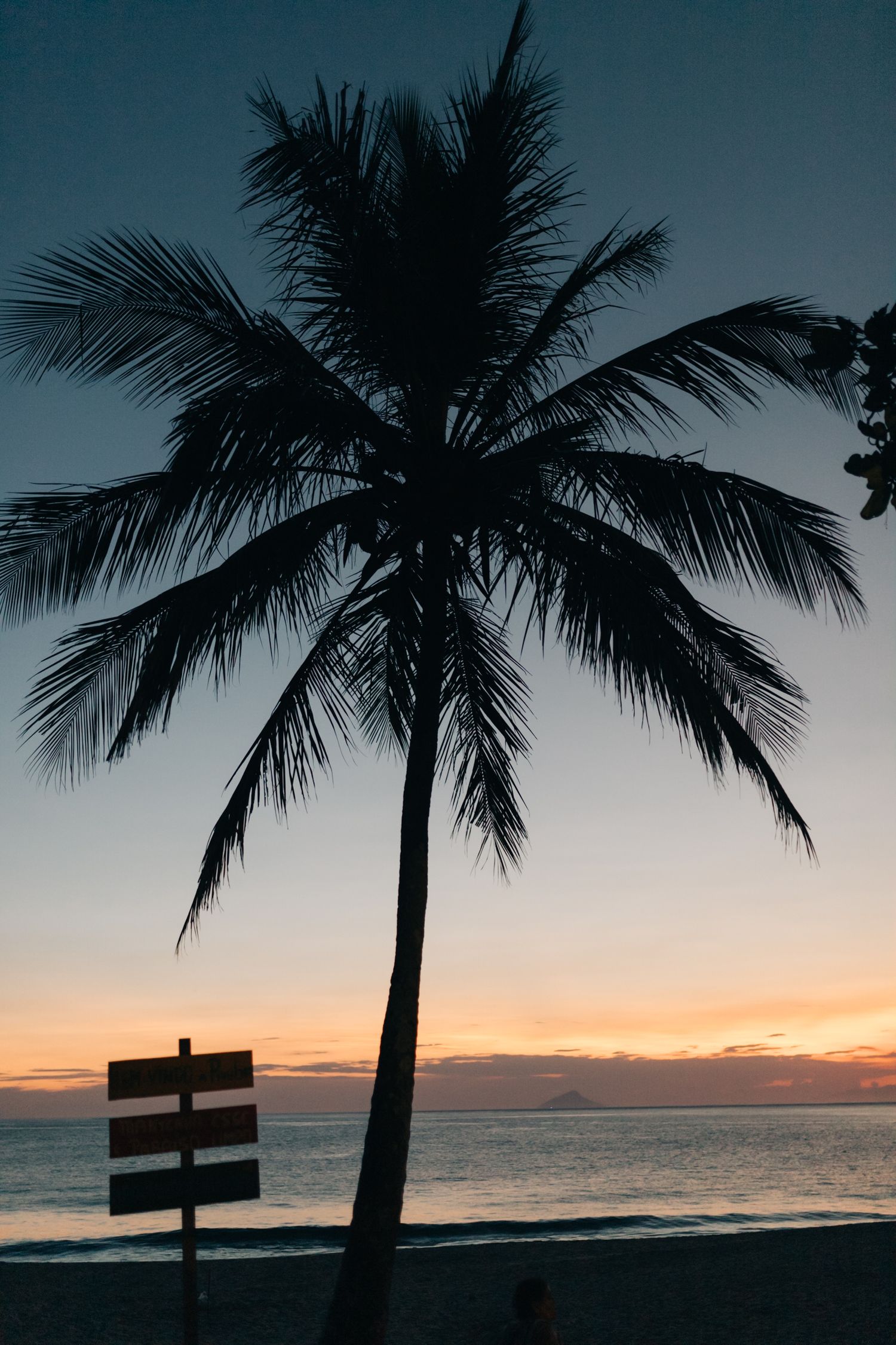 Silhouette of palm tree against sunset sky with wooden sign post on tropical beach.