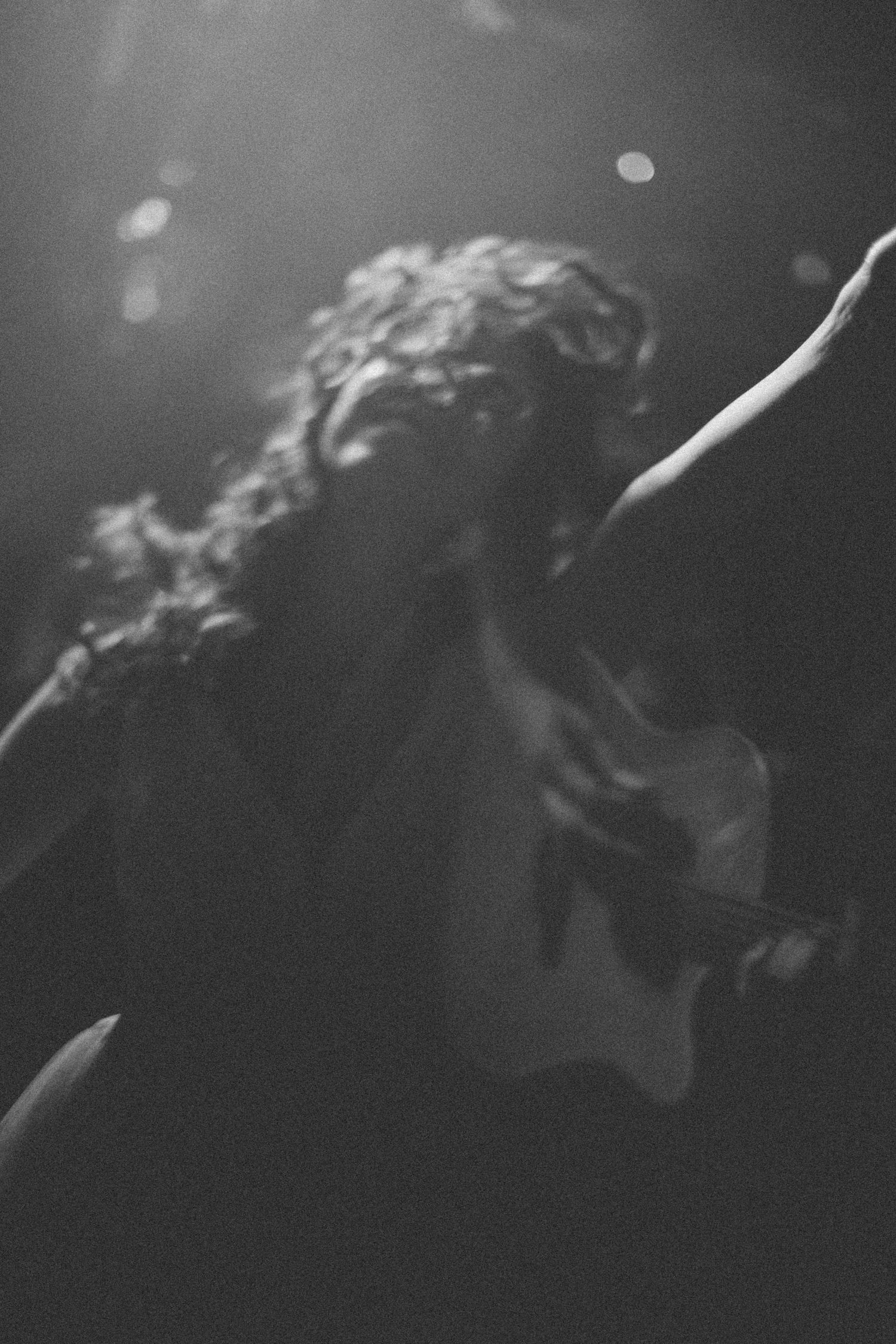 Artistic blurred black and white shots creating abstract patterns of light and movement.