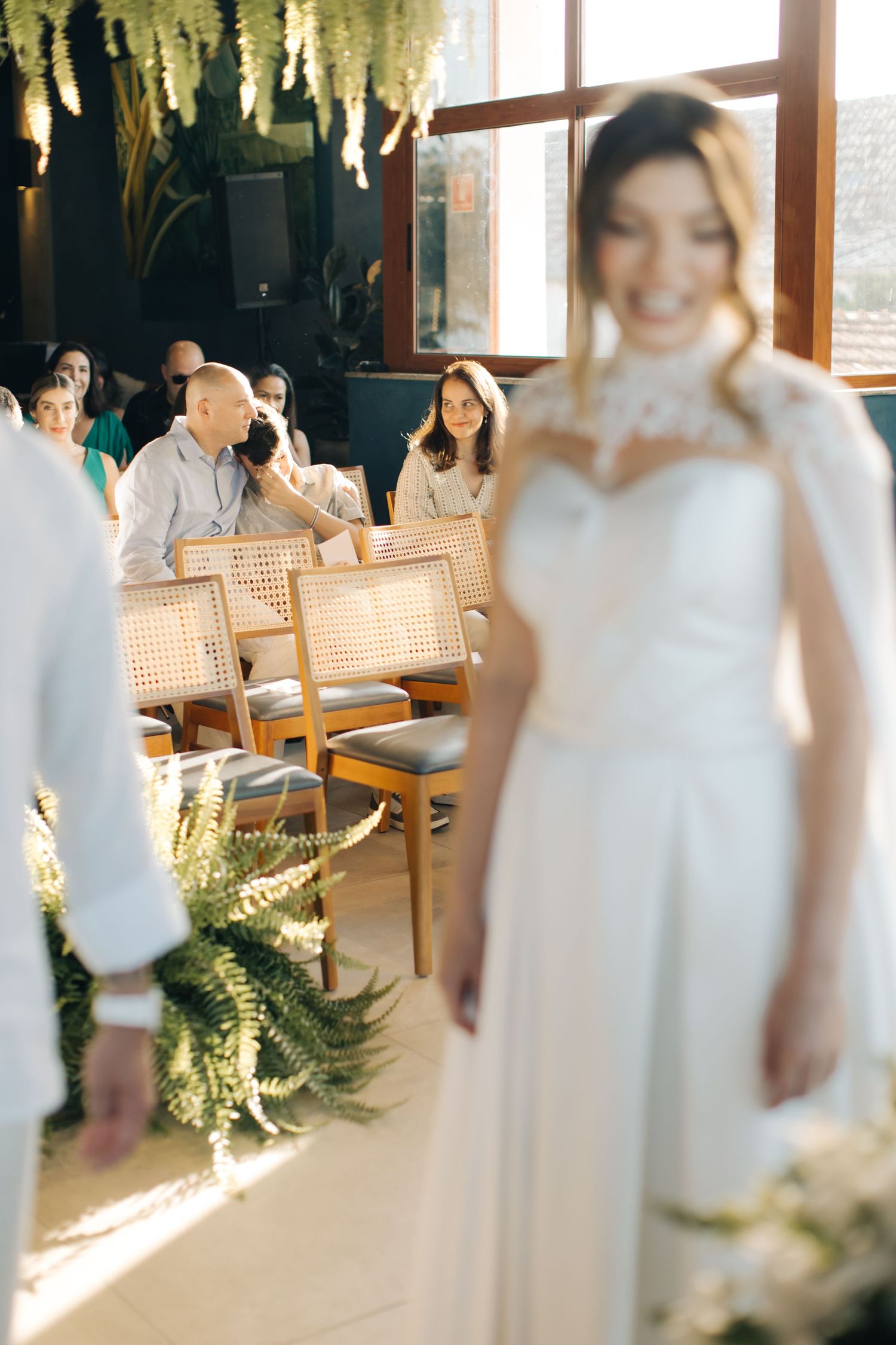 Wedding venue with wooden chairs and cascading ferns illuminated by natural light.