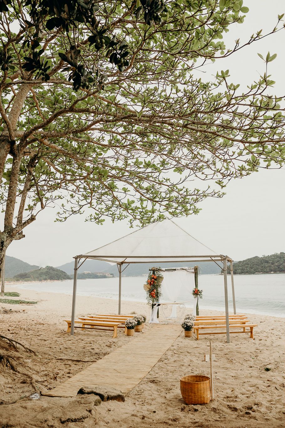 Rustic beach wedding venue with wooden benches under pine trees overlooking the ocean.