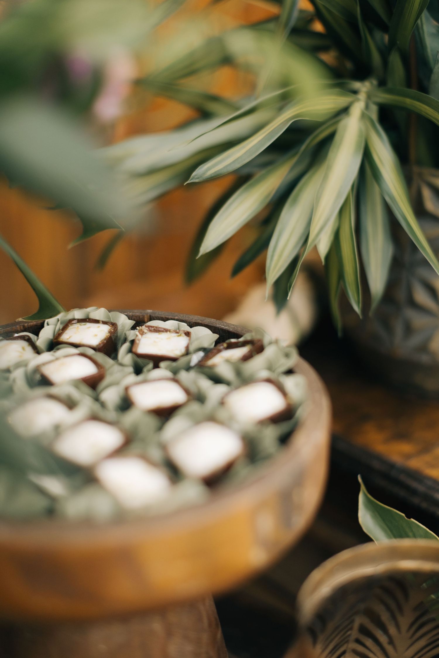 Close-up of dessert tray with white treats nestled among tropical foliage.