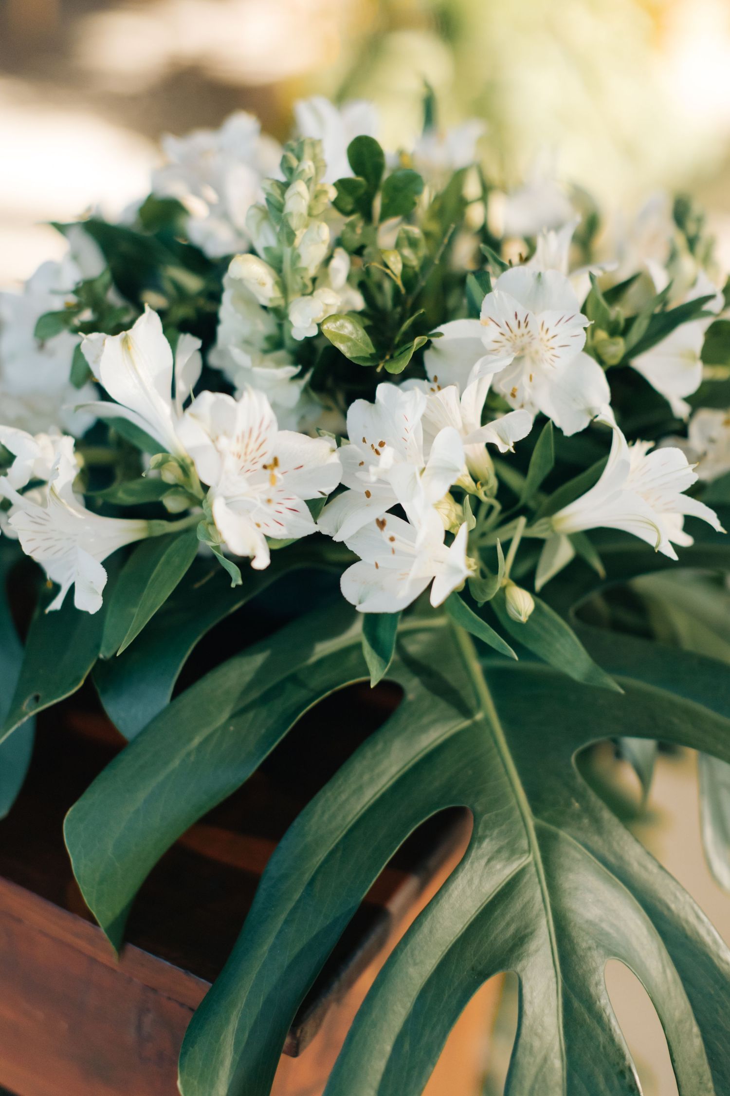White alstroemeria flowers with monstera leaves in elegant floral arrangement.