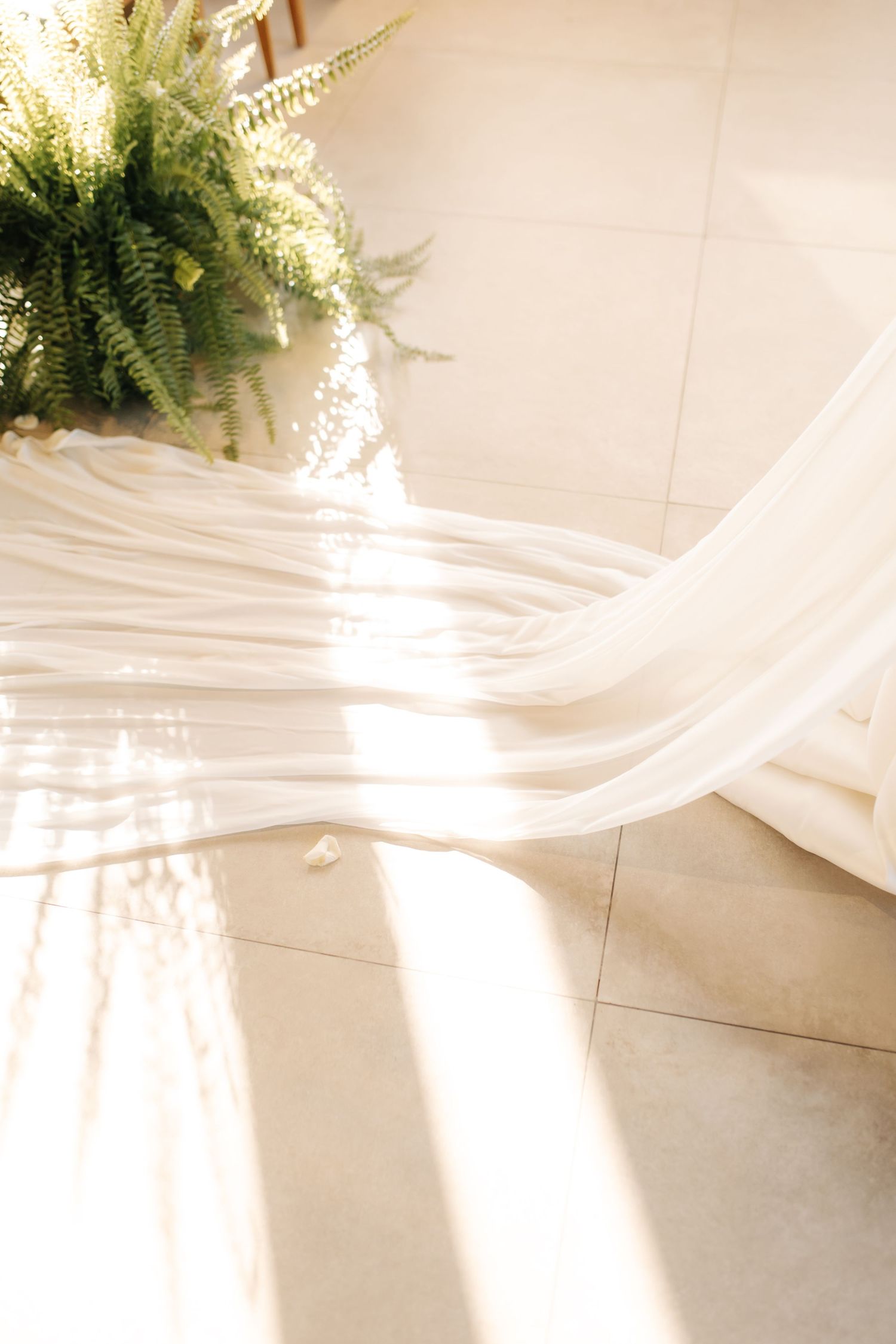 Elegant white fabric flowing near fern decoration in soft natural light.