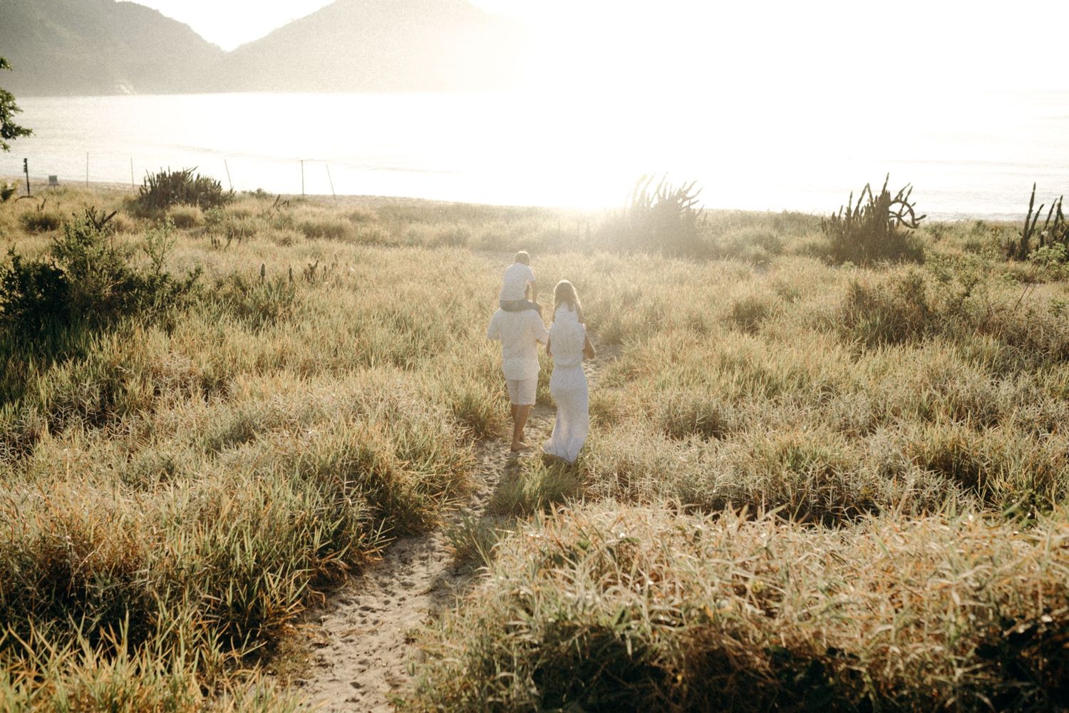 Scenic coastal landscape at golden hour with sunlight illuminating tall grasses and rocky terrain.