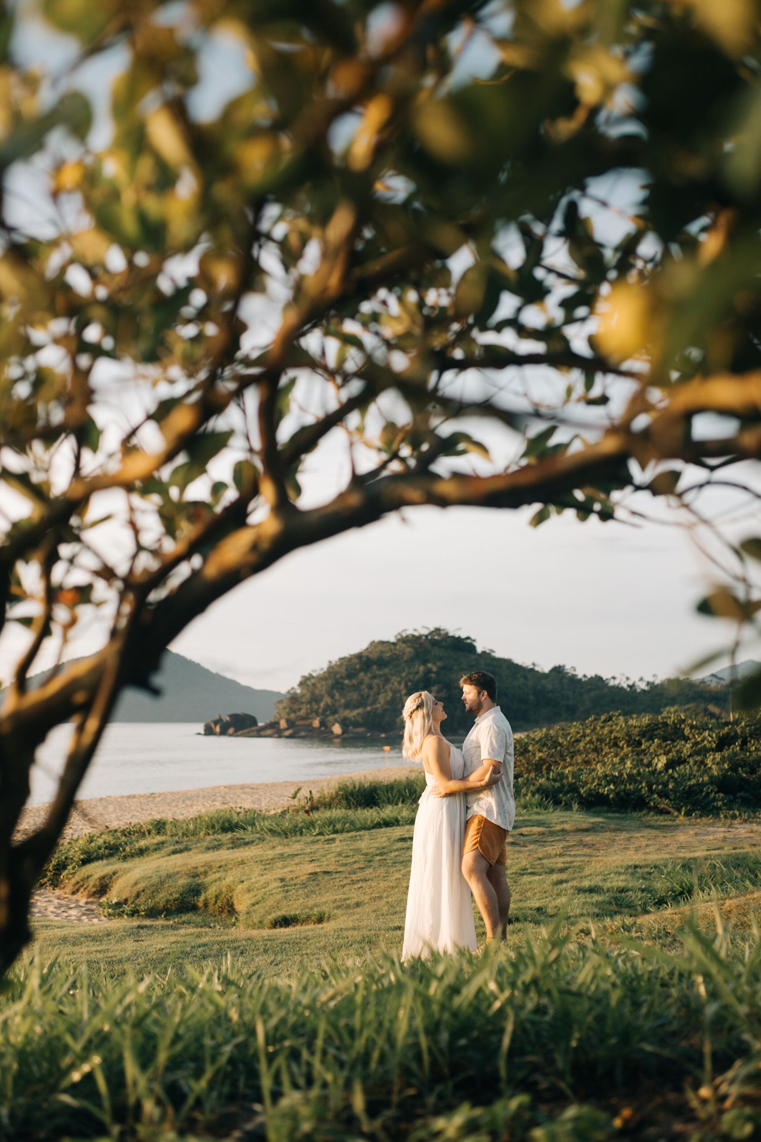 A romantic scene framed by tree branches showing a couple on a coastal clifftop at sunset.