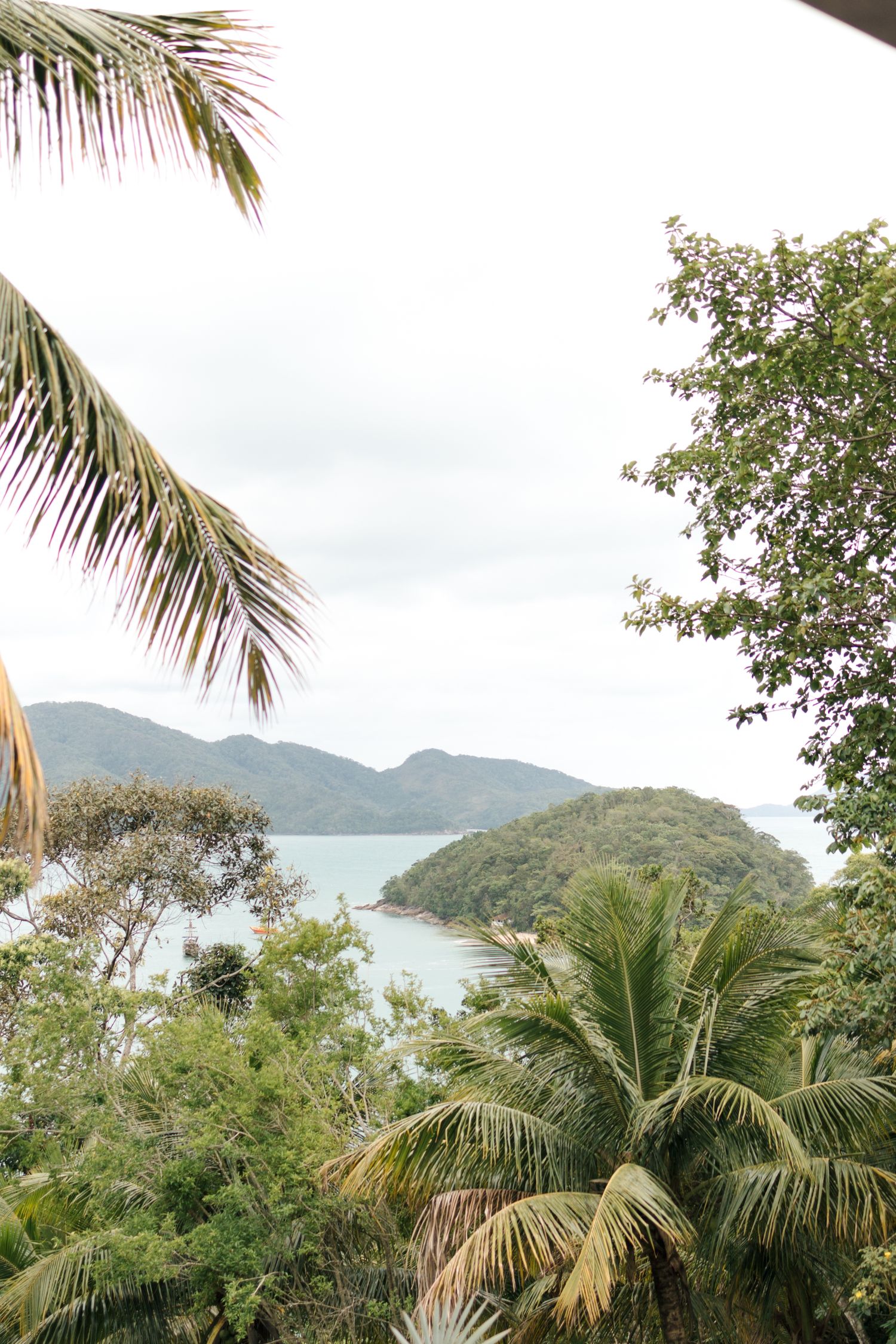 Scenic tropical landscape with palm trees and mountains overlooking the ocean.