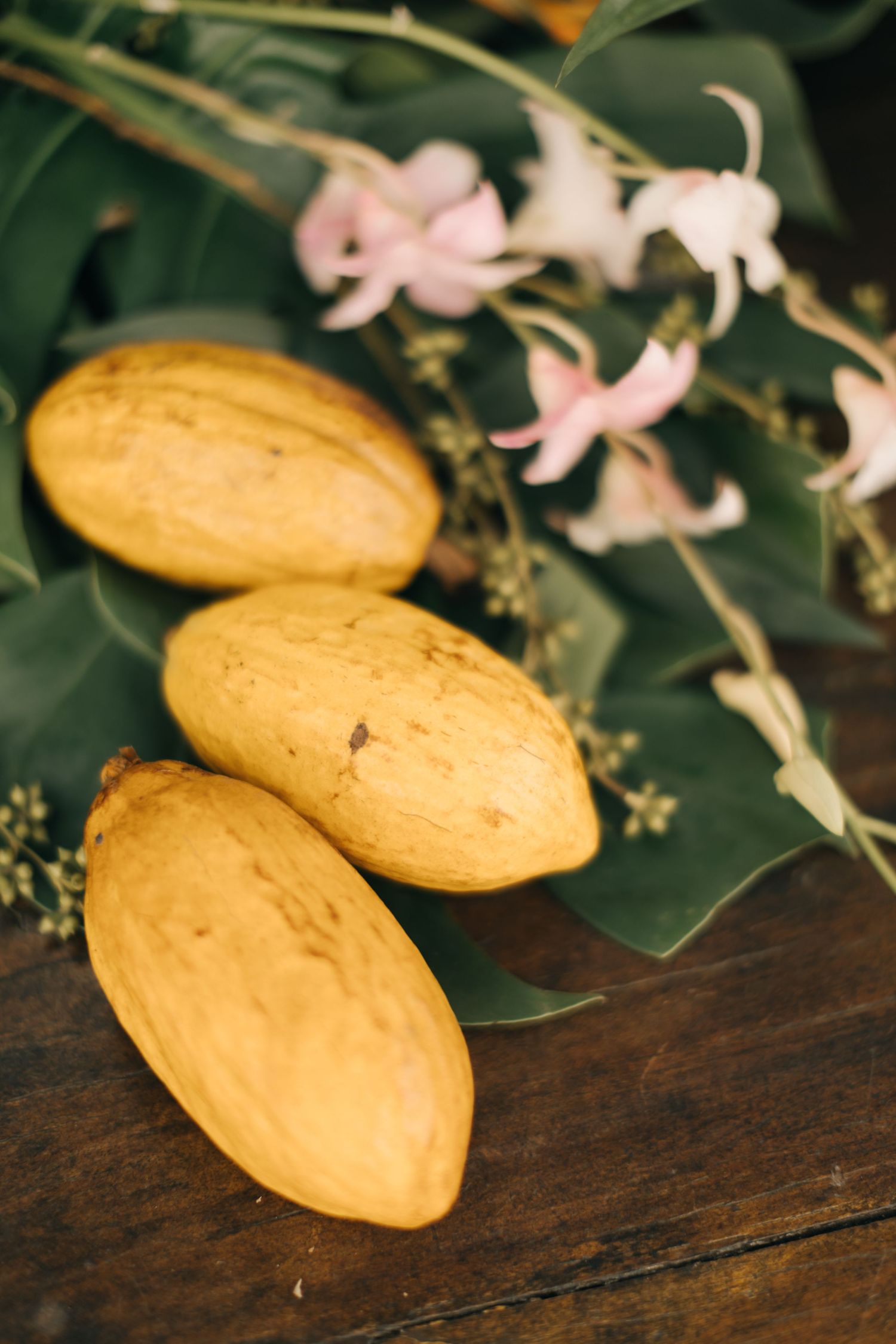 Close-up of fresh mangos and pink orchids arranged on dark wooden surface.