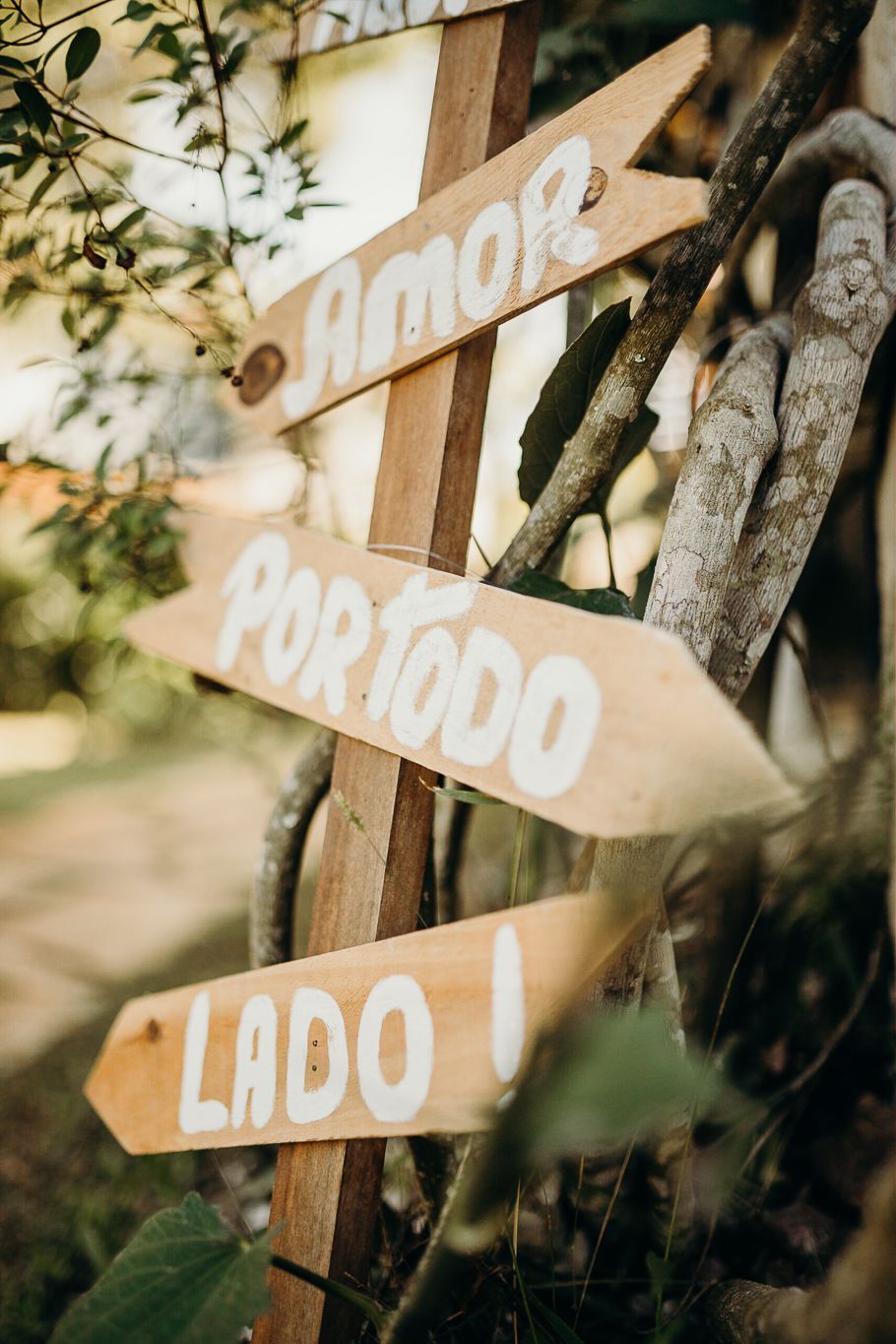 Close-up of rustic wooden directional signs with white Spanish text among tree branches.