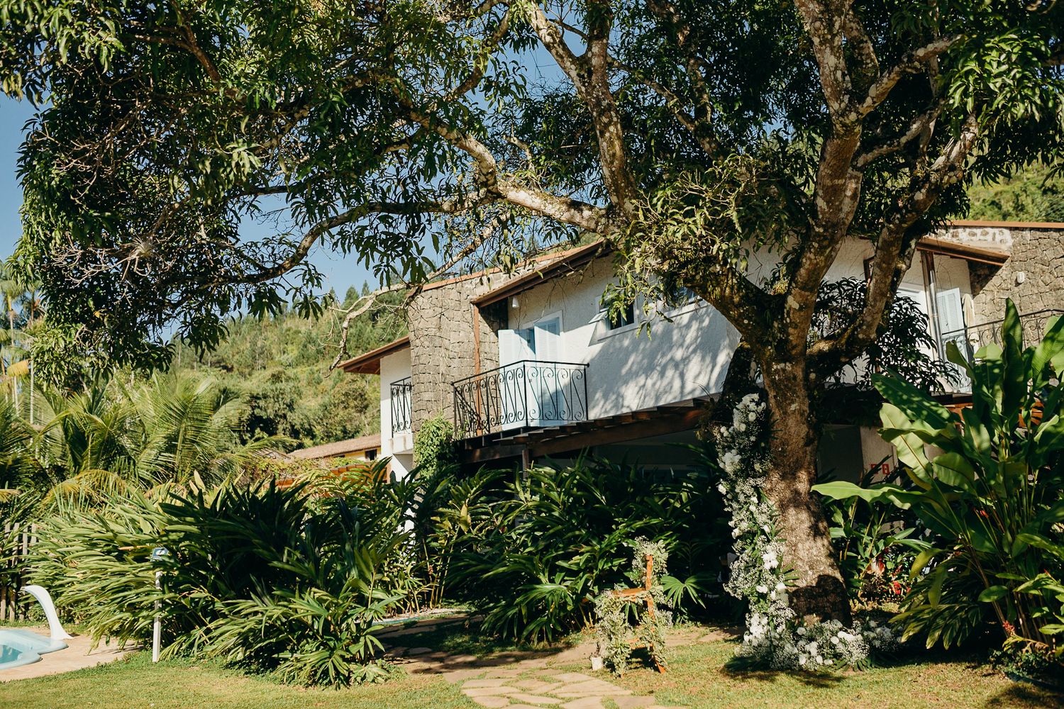 Modern villa nestled among large trees and tropical landscaping.