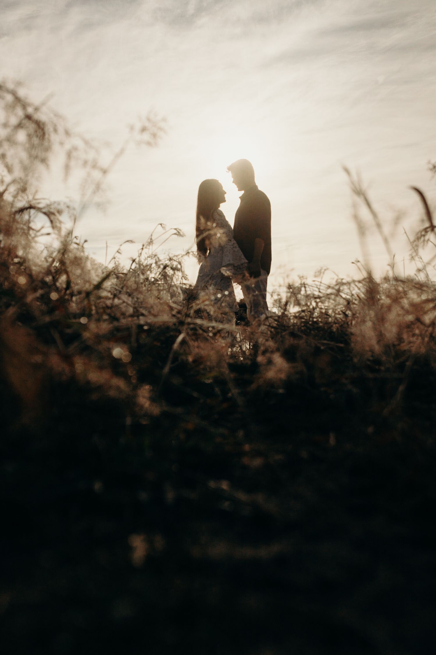 Backlit silhouettes embrace among wild grasses during golden hour.