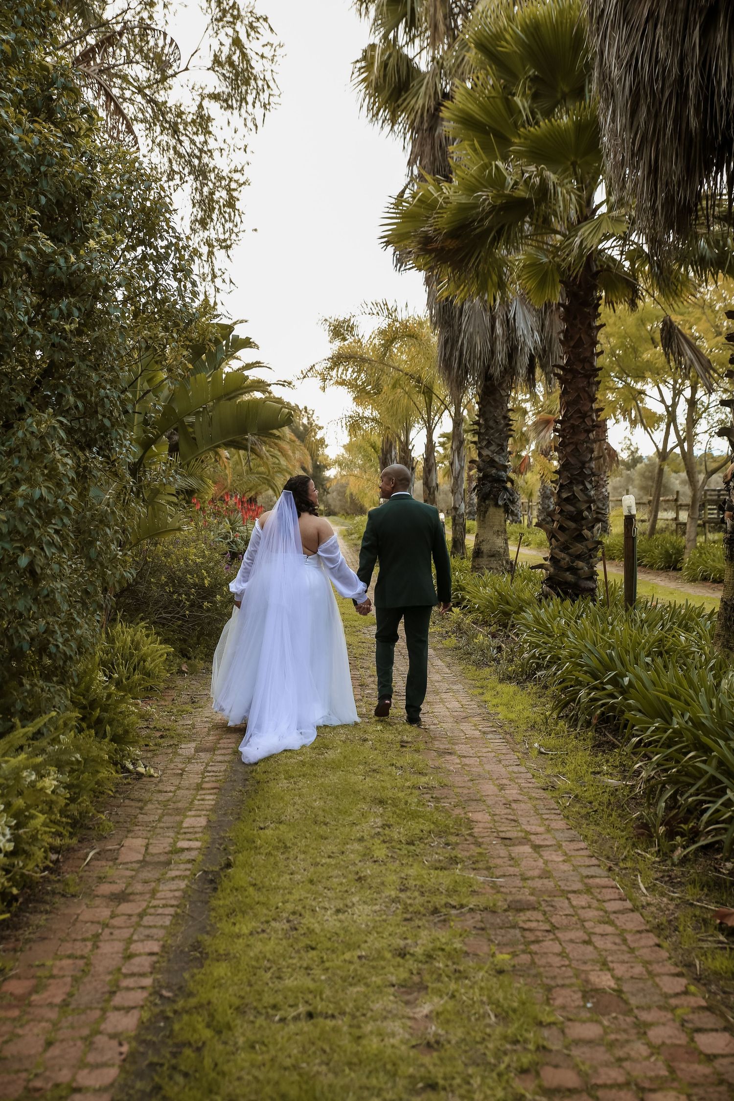 Bride and groom walking hand in hand along brick garden path lined with palm trees.
