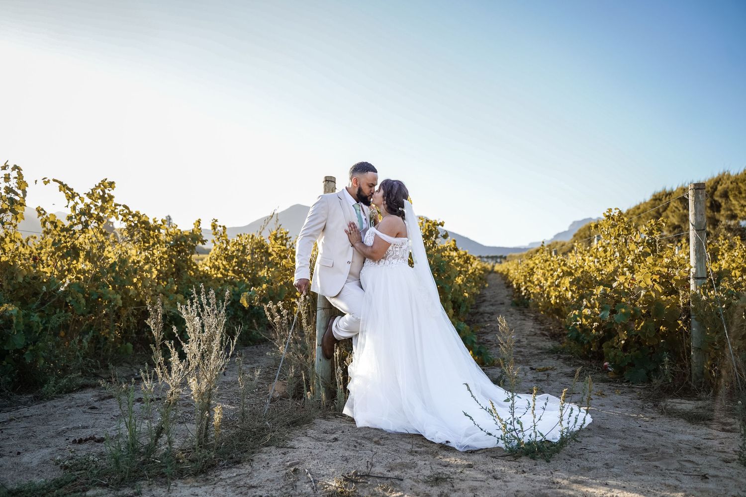 Newlywed couple shares a kiss in a golden vineyard with mountain views on their wedding day.