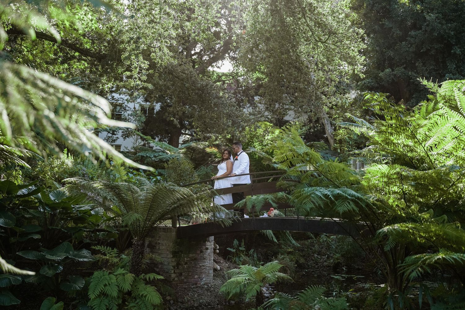 Couple embracing on a wooden bridge surrounded by lush tropical ferns and trees in a verdant garden setting.