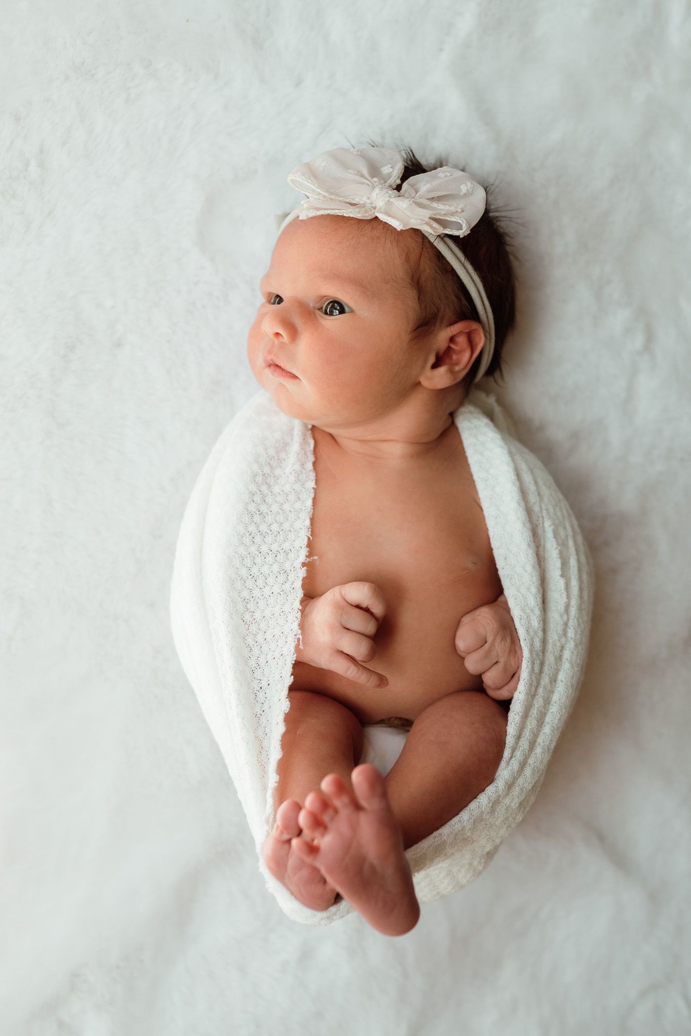 newborn baby wrapped up in Harleysville, PA