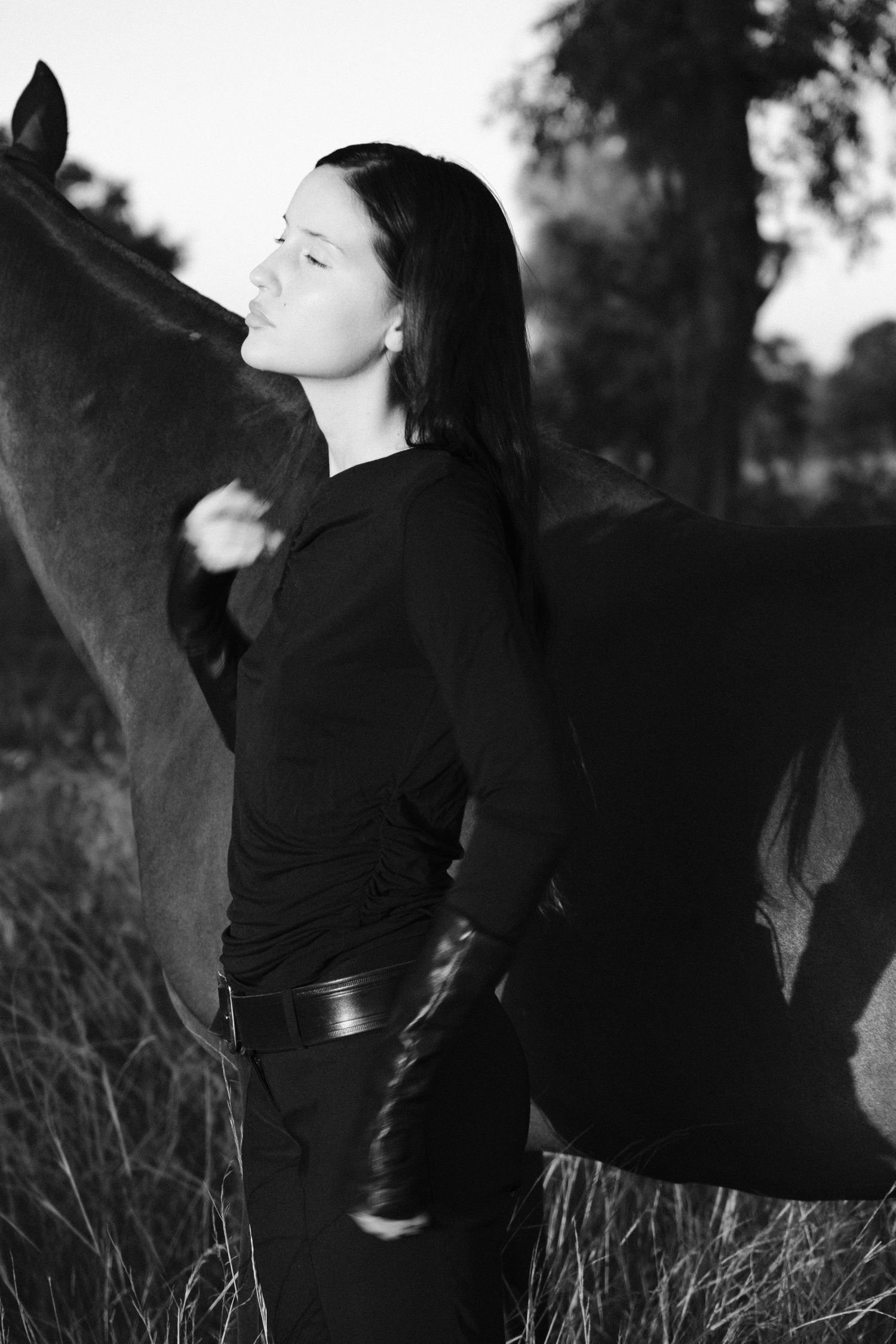 Fashion Western Cool Horses