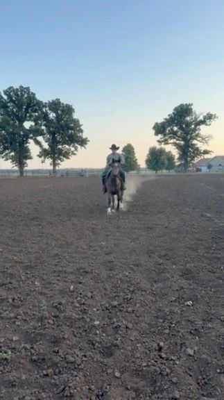 A horse and rider walk across a barren plowed field with scattered trees on the horizon at dusk.