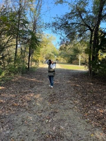 A dirt hiking trail winding through a wooded area with fallen leaves scattered on the ground.