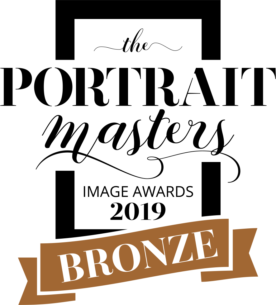 Three decorative award banners in bronze color with ornate text designs for photography awards.