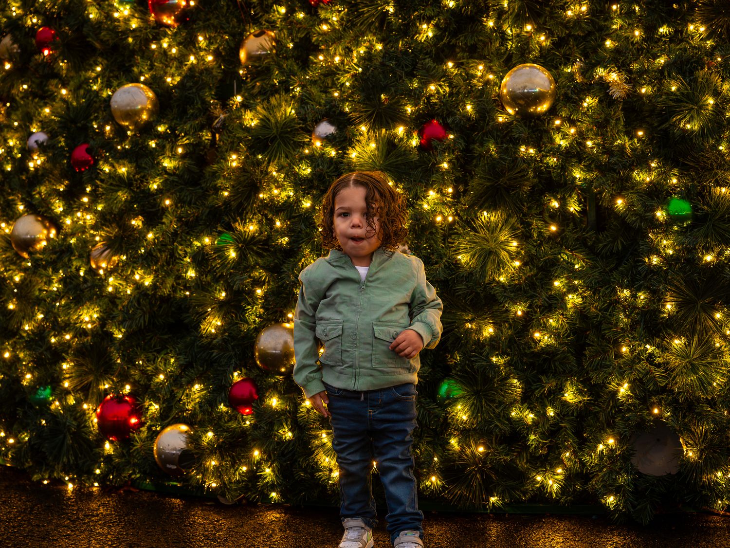 Festive Christmas tree decorated with twinkling gold lights and ornaments.