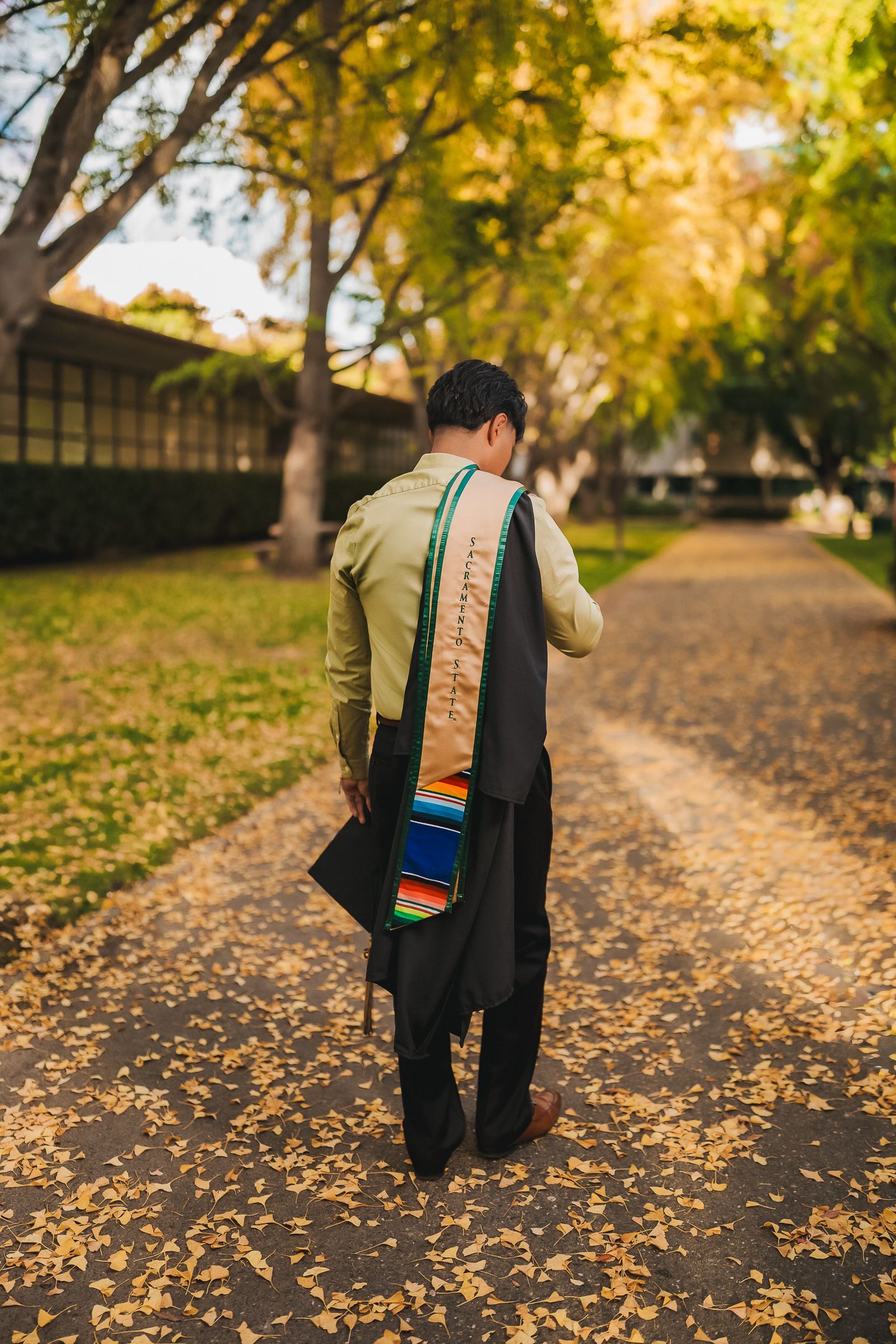 Graduate walking away on autumn path wearing black gown and colorful cultural graduation stole.