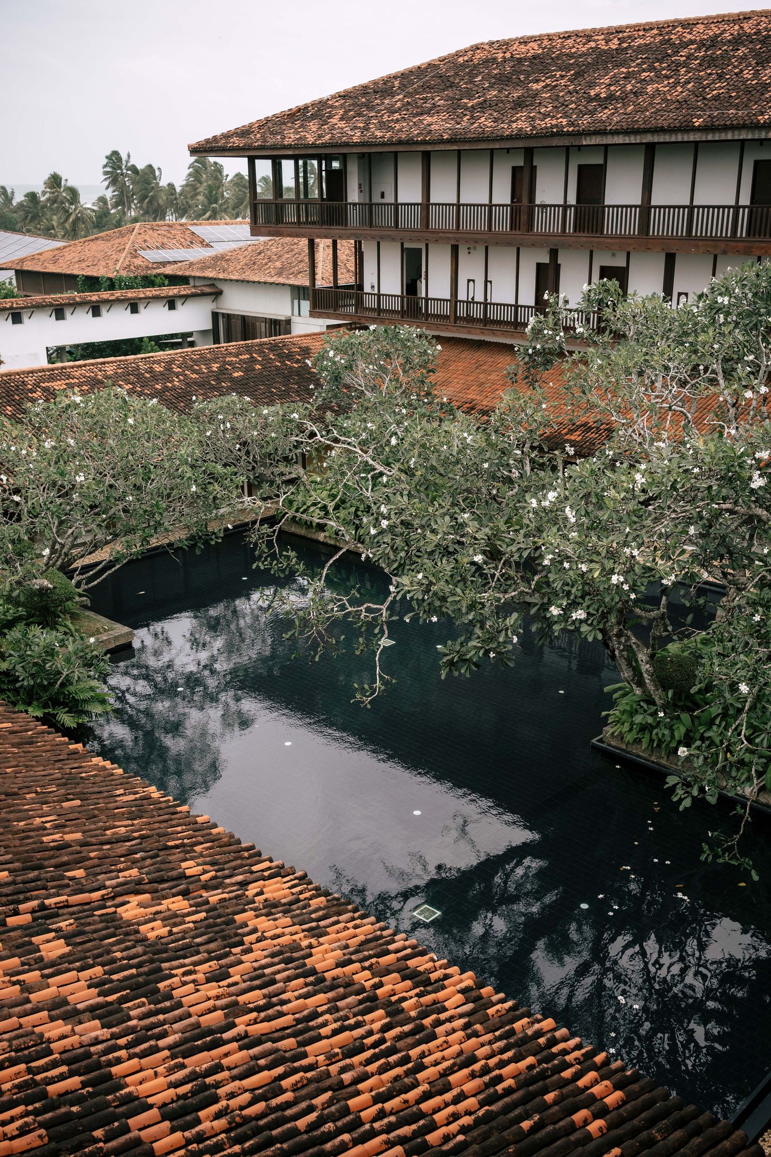 Destination Wedding Photographer in Sri Lanka | Timeless, luxury wedding photography by ENAMOUR STUDIO.