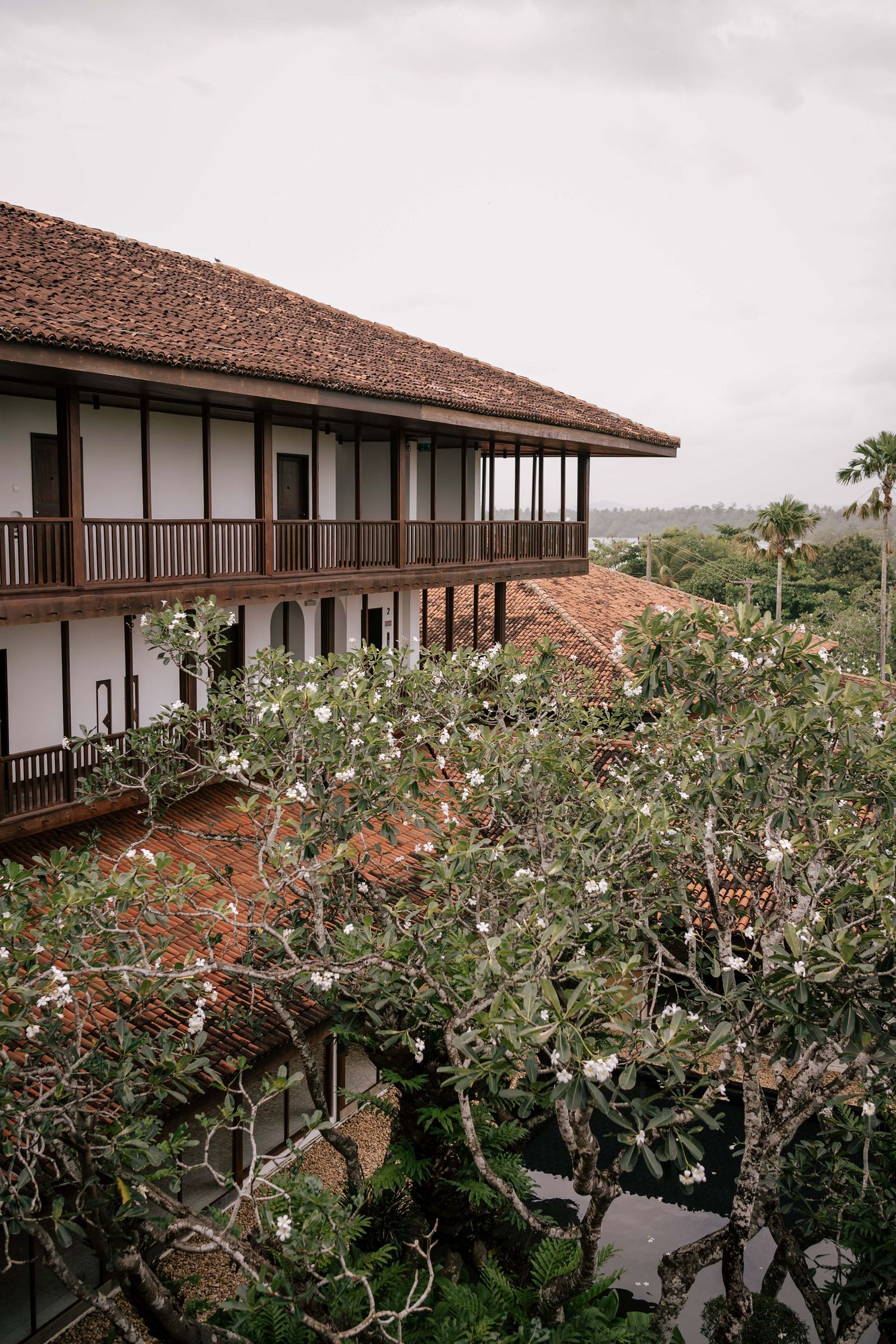 Destination Wedding Photographer in Sri Lanka | Timeless, luxury wedding photography by ENAMOUR STUDIO.