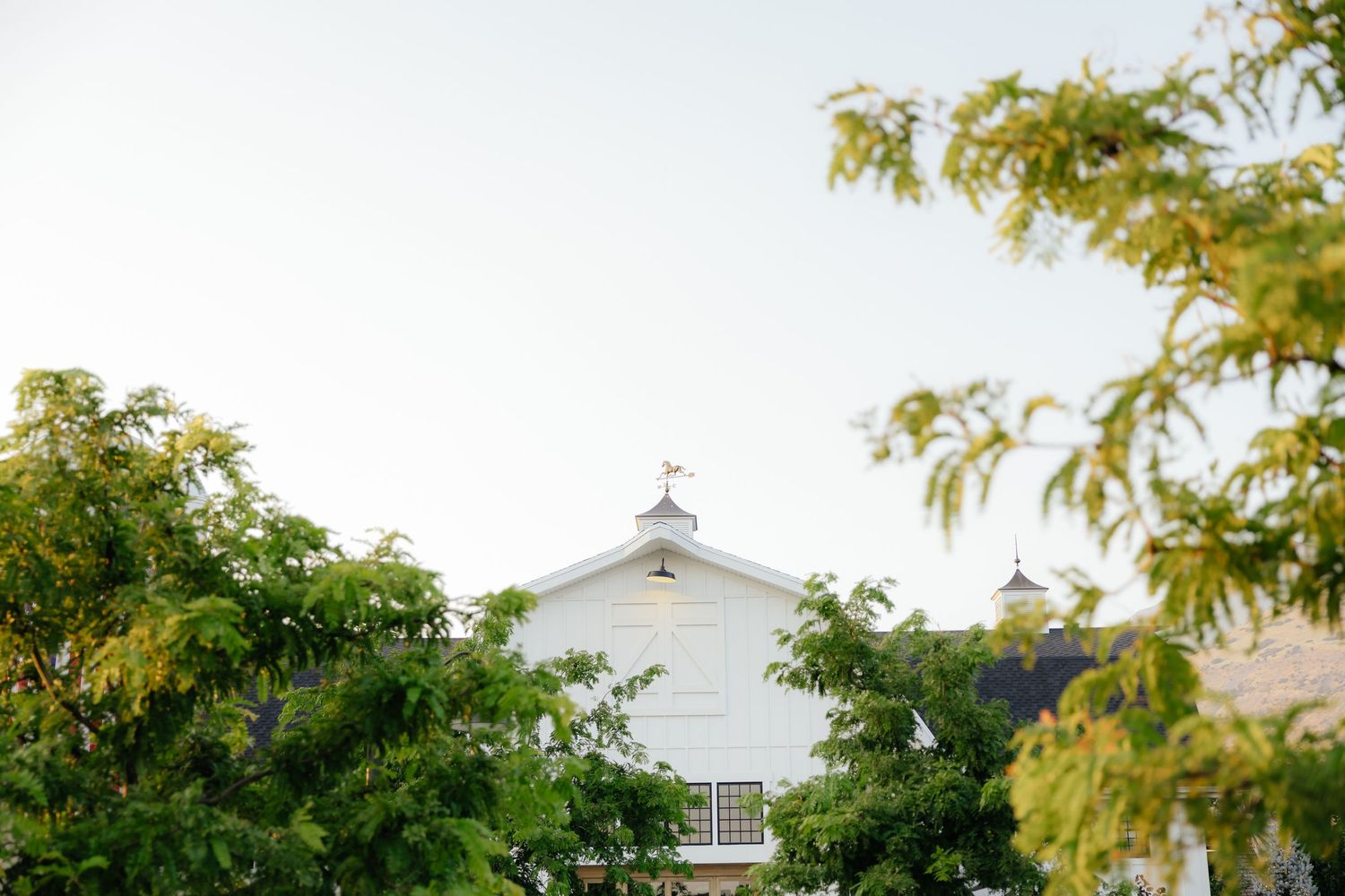 White wedding chapel surrounded by greenery photographed in soft natural light
