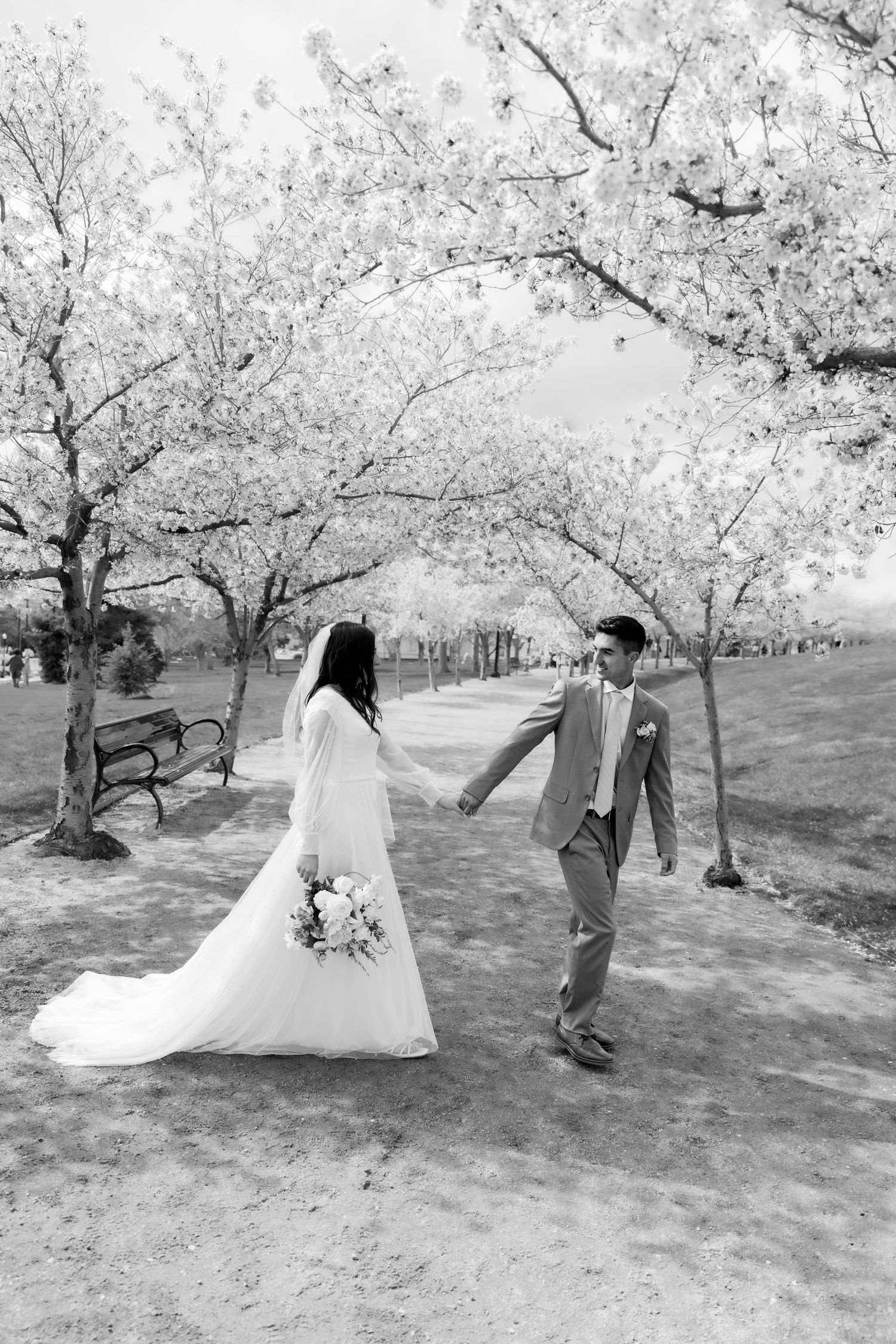 Black and white photo of couple walking below cherry blossoms during bridal session.