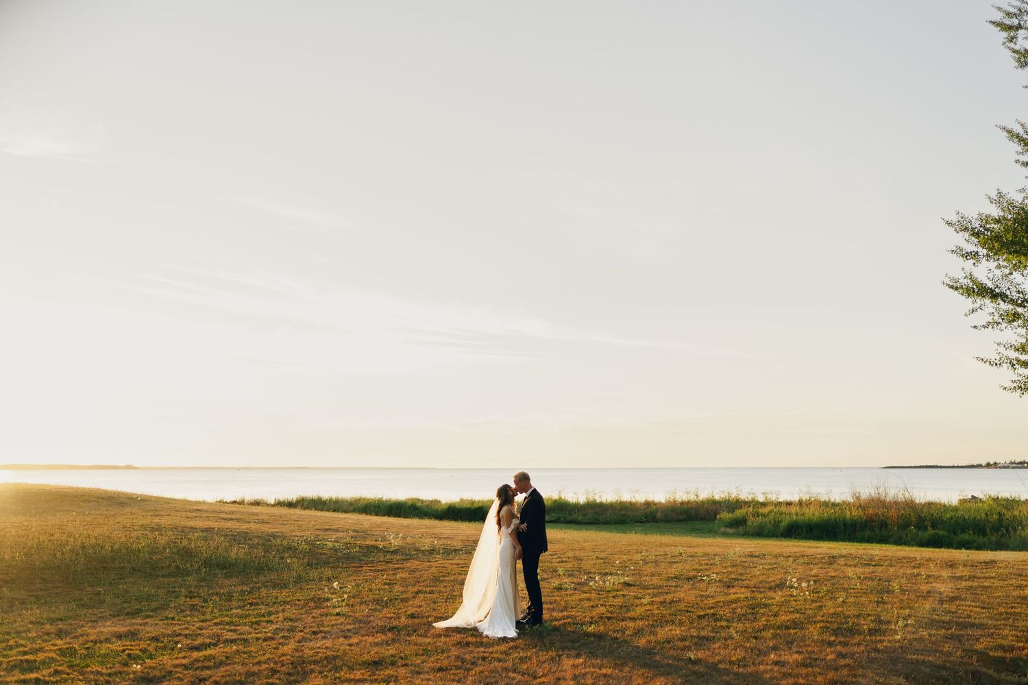 A couple in wedding attire stands silhouetted against a golden sunset on a grassy hilltop in Halifax, Nova Scotia.