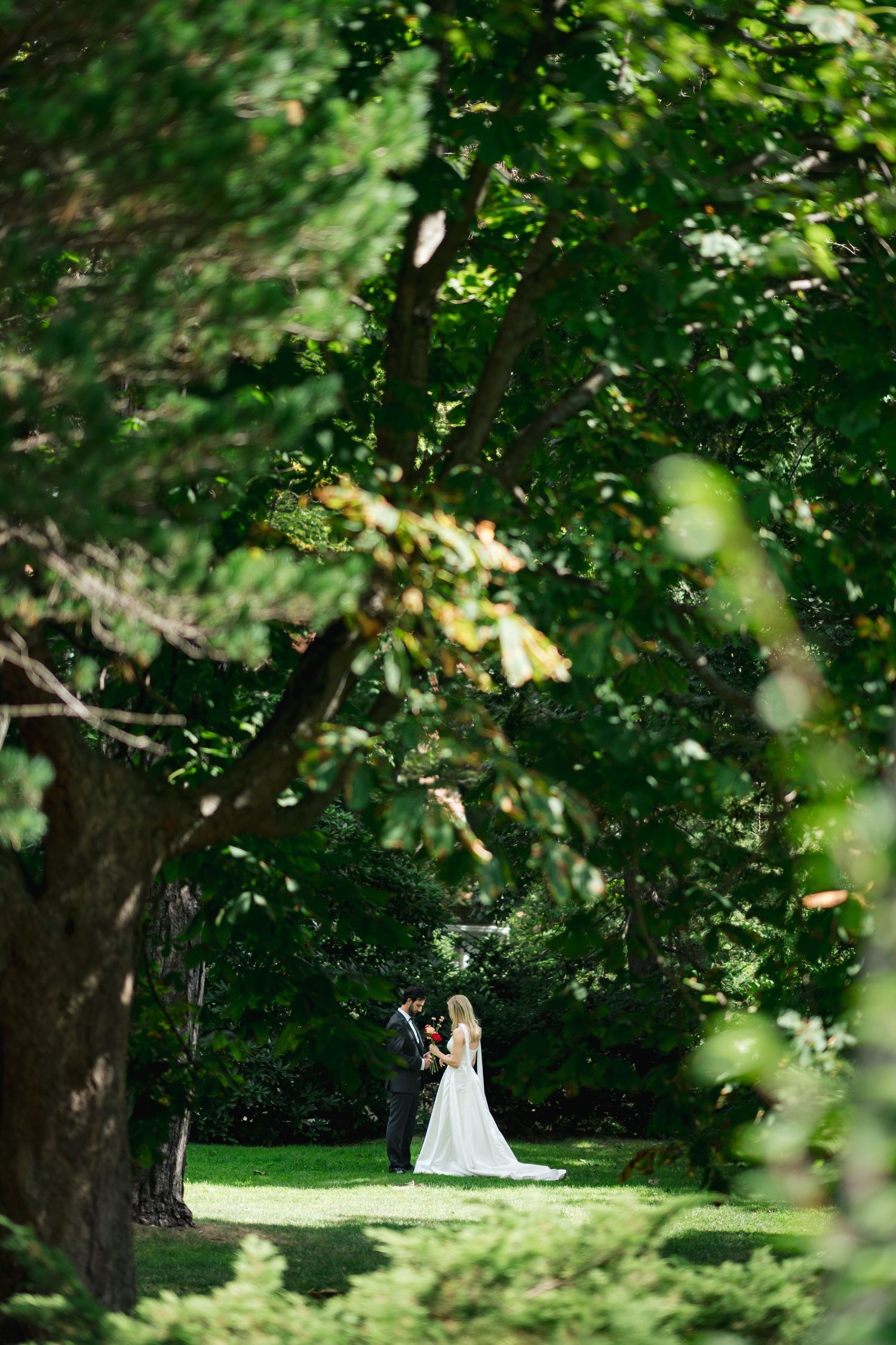 Wedding couple photographed through trees in a lush green garden setting in Halifax, Nova Scotia.