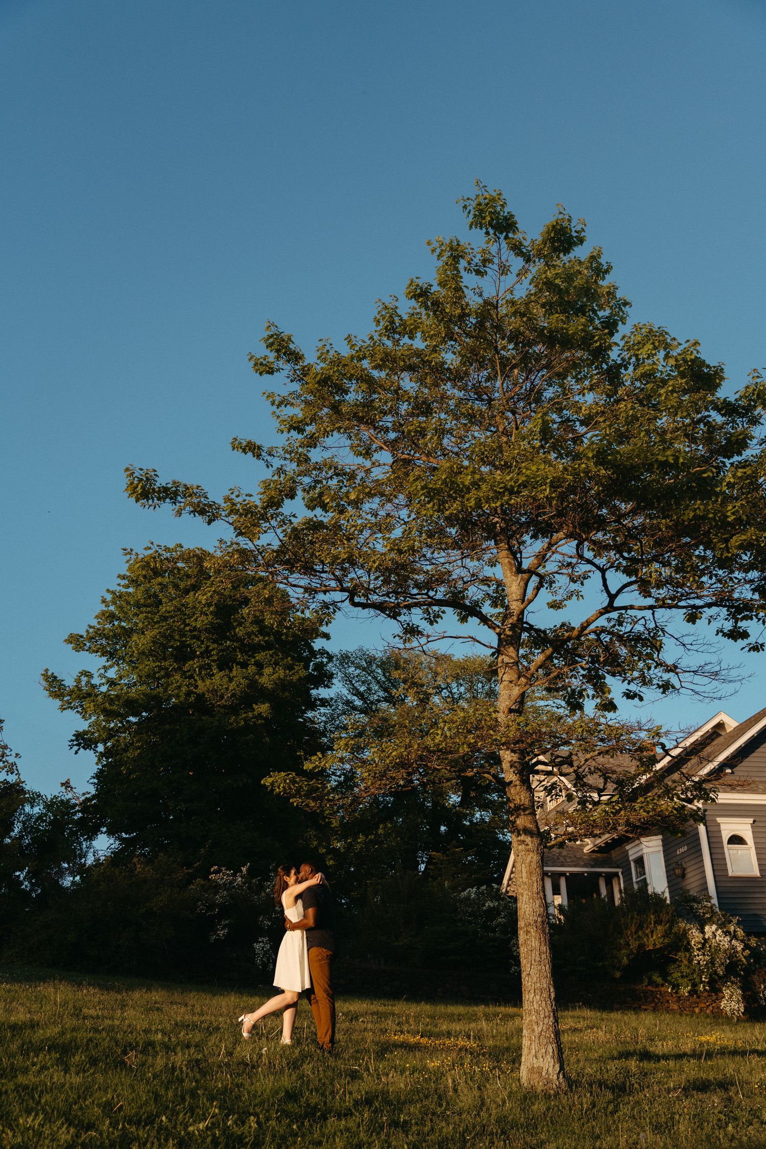 A figure in a white dress dances gracefully near a lone tree on a grassy hillside at golden hour in Halifax, Nova Scotia.
