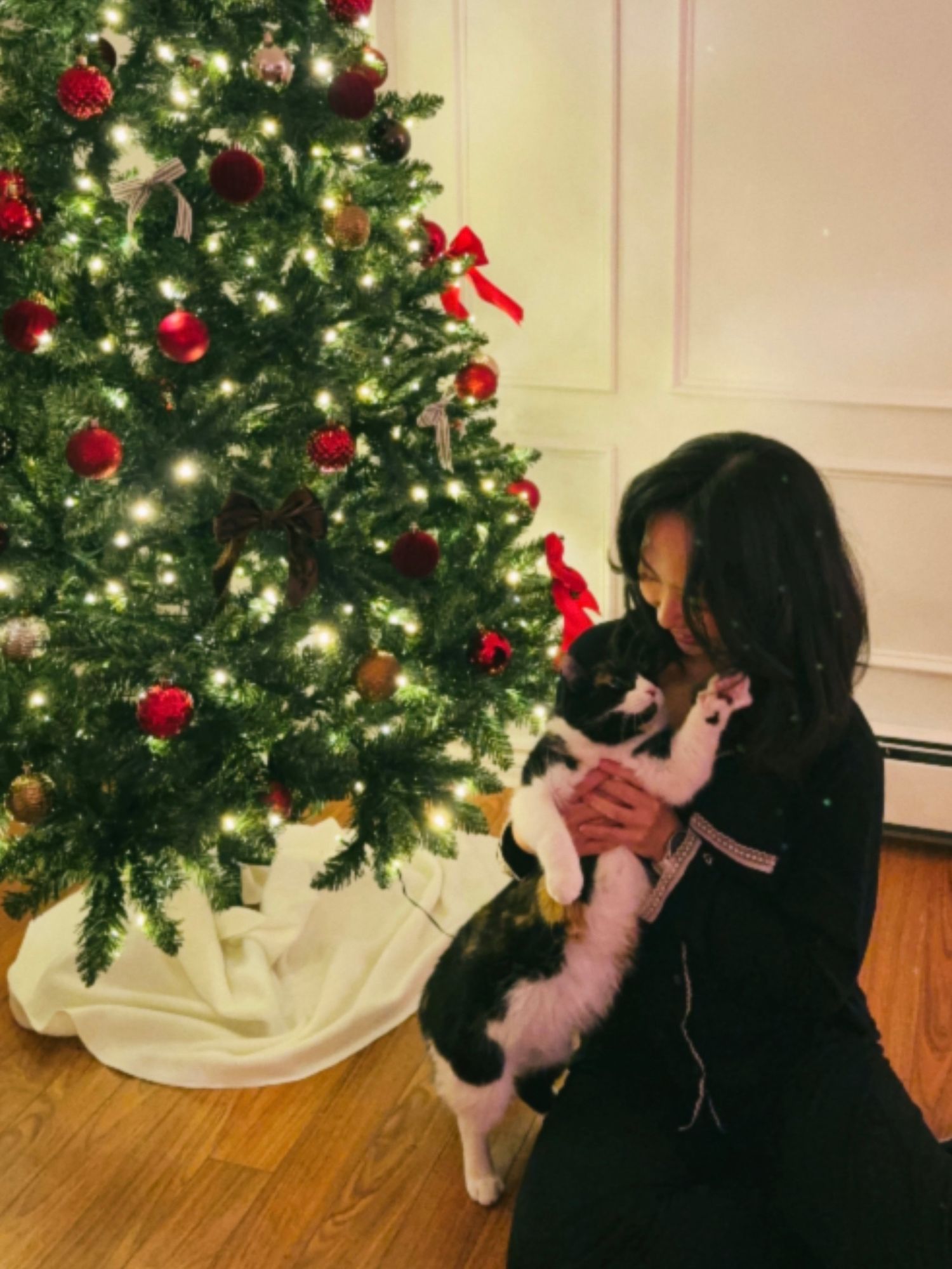 A festive Christmas tree with red ornaments stands next to someone holding a black and white cat by the tree in Halifax, Nova Scotia.