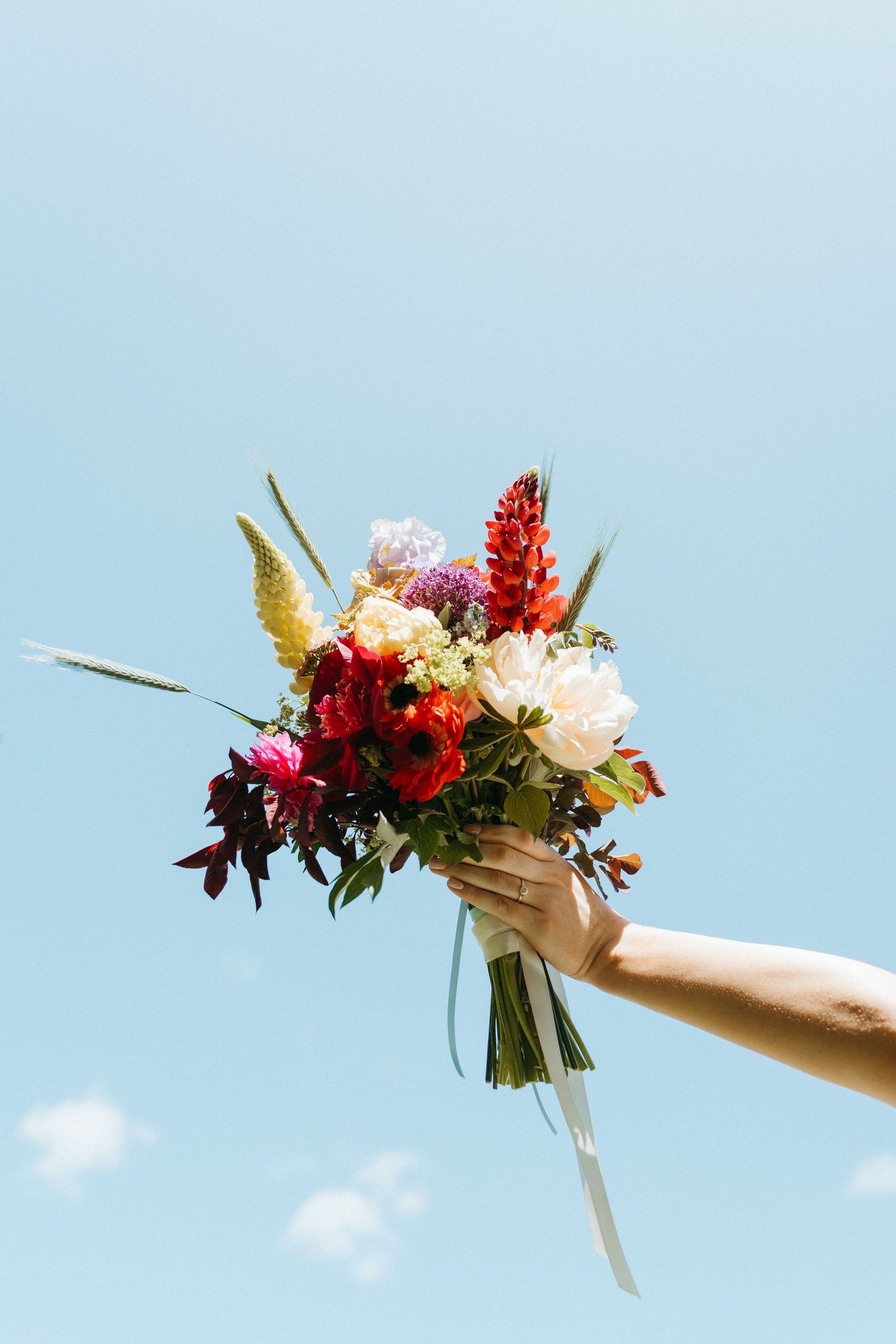 A hand holds a vibrant wedding bouquet with red and white flowers against a bright blue sky background in Halifax, Nova Scotia.