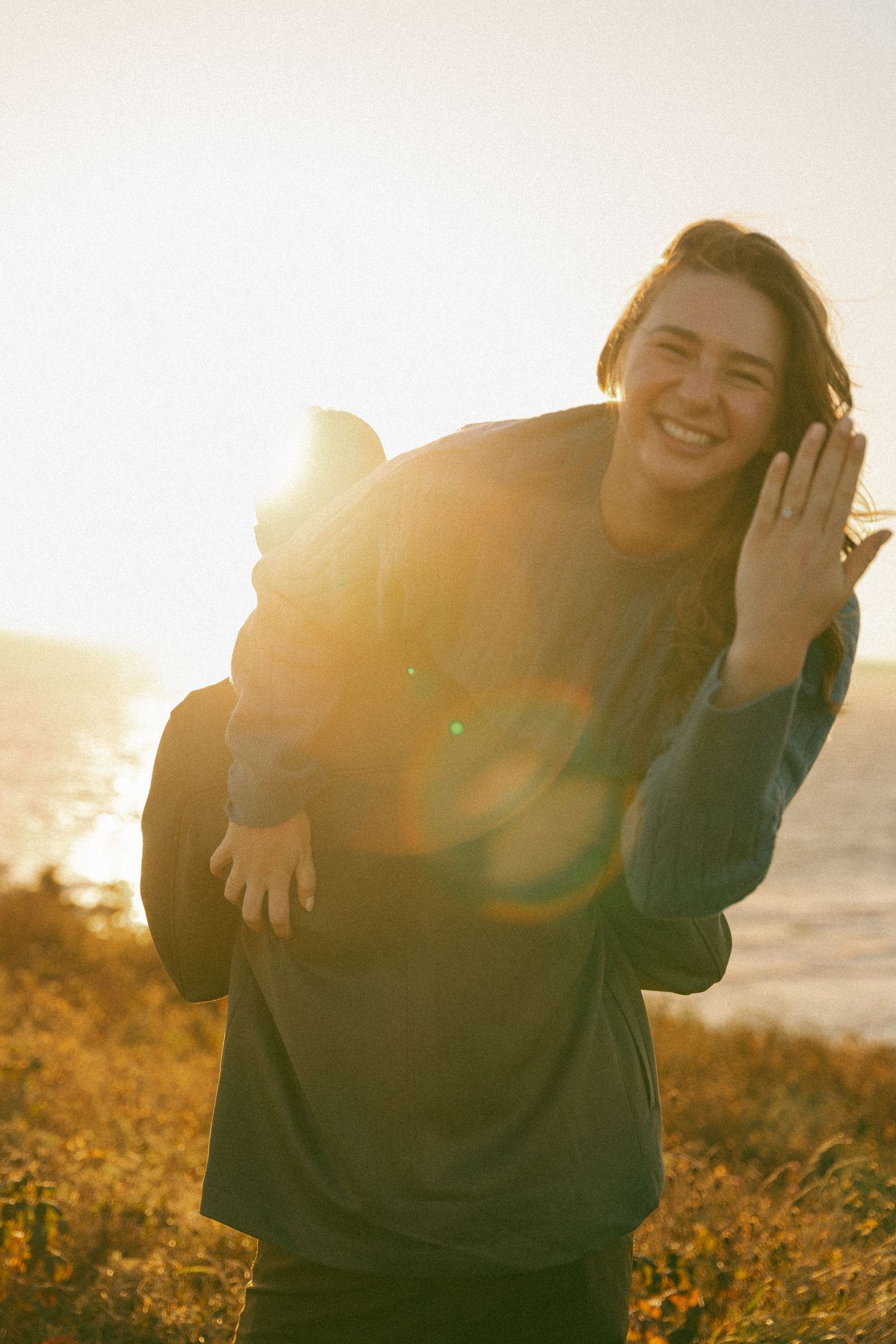 Warm sunlit scene in a meadow with golden light filtering through tall grass during sunset in Halifax, Nova Scotia.
