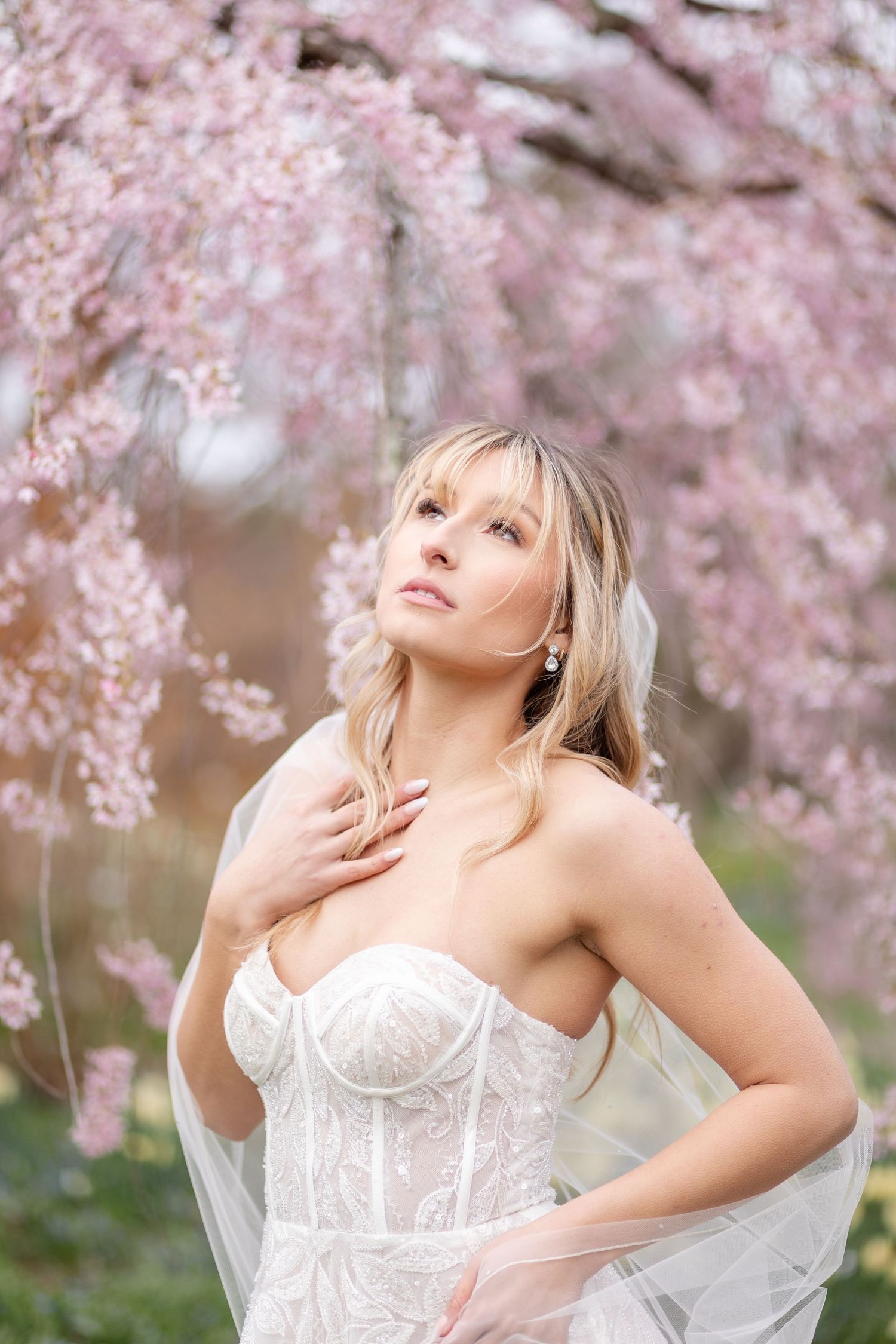 Bride in white lace corset gown gazes upward beneath pink cherry blossom trees in spring.