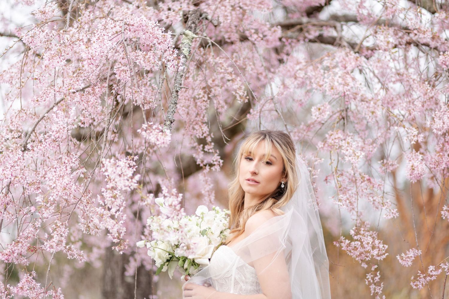 Bride in white gown and veil holding bouquet under blooming pink cherry blossom tree in spring.
