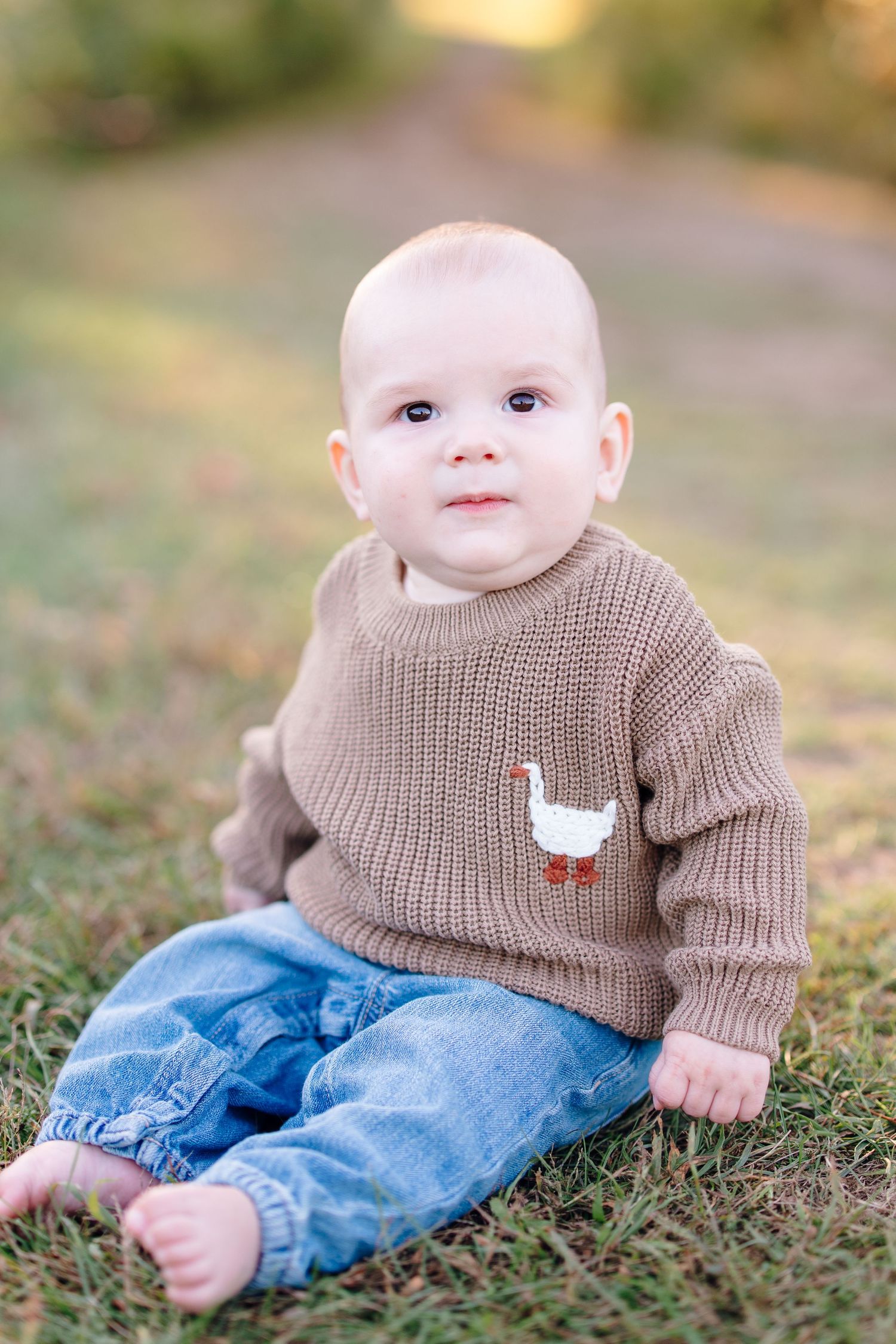 An adorable baby in a brown knit duck sweater and jeans sits on green grass outdoors in warm golden light.