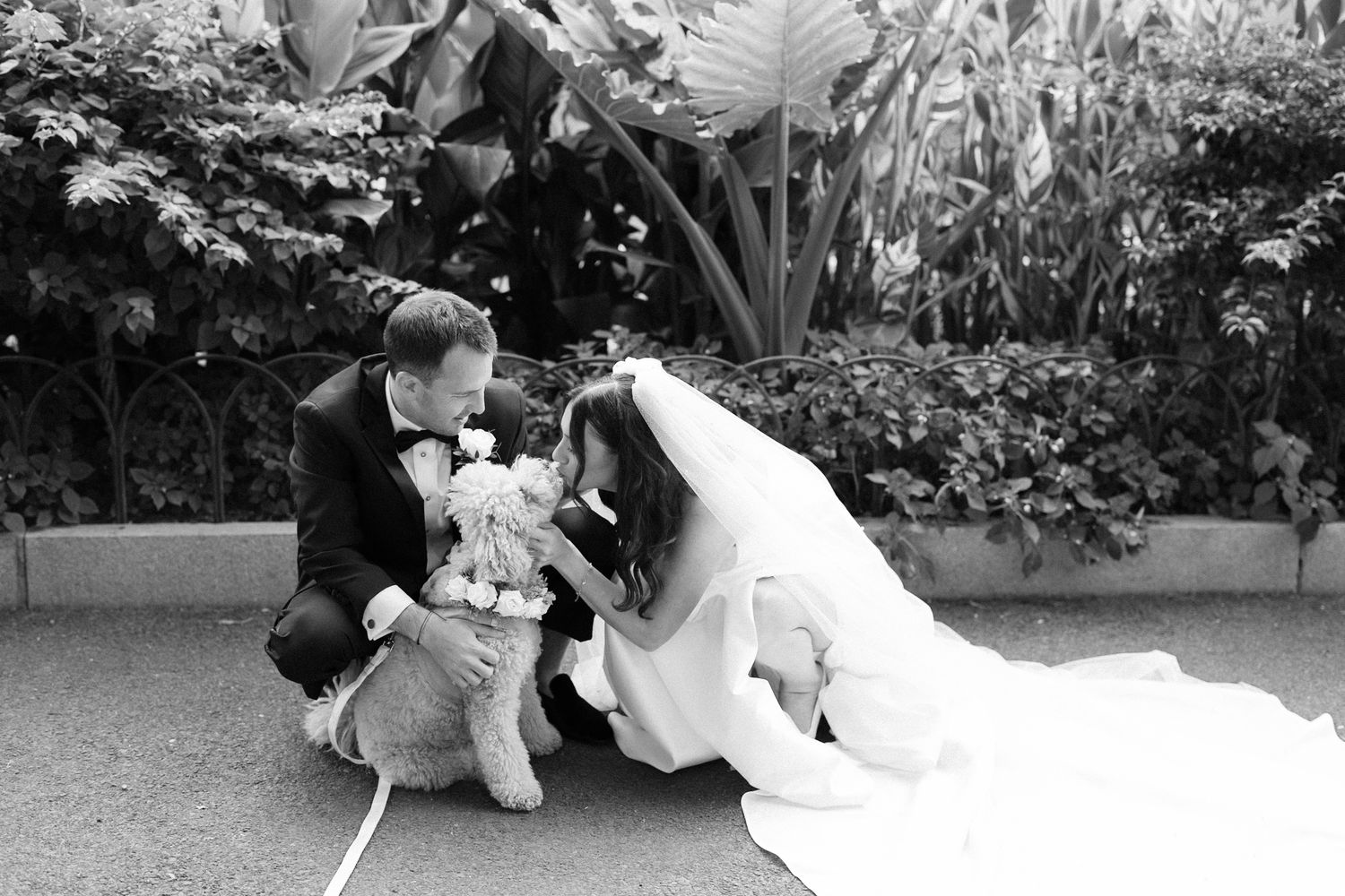 Bride and groom kneel together to greet their dog during a charming black and white wedding portrait.