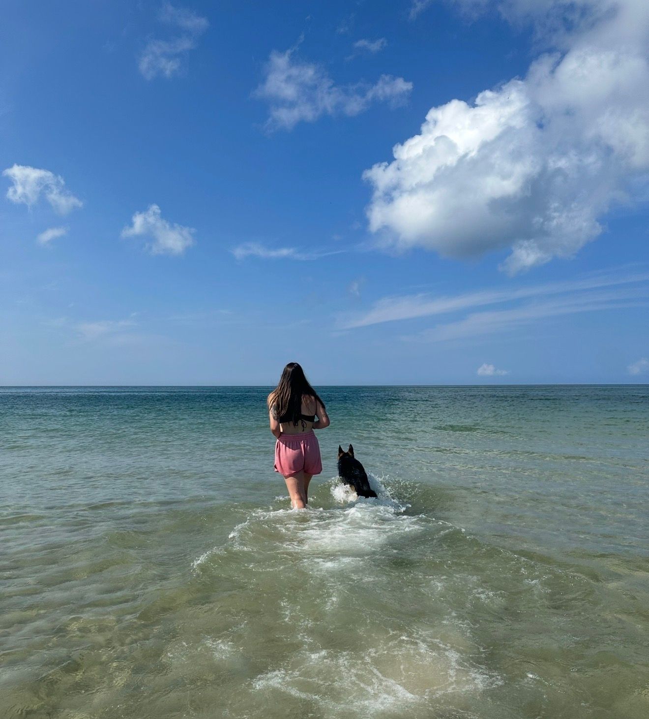 Woman in pink dress wades into clear ocean water with her black dog at the beach.