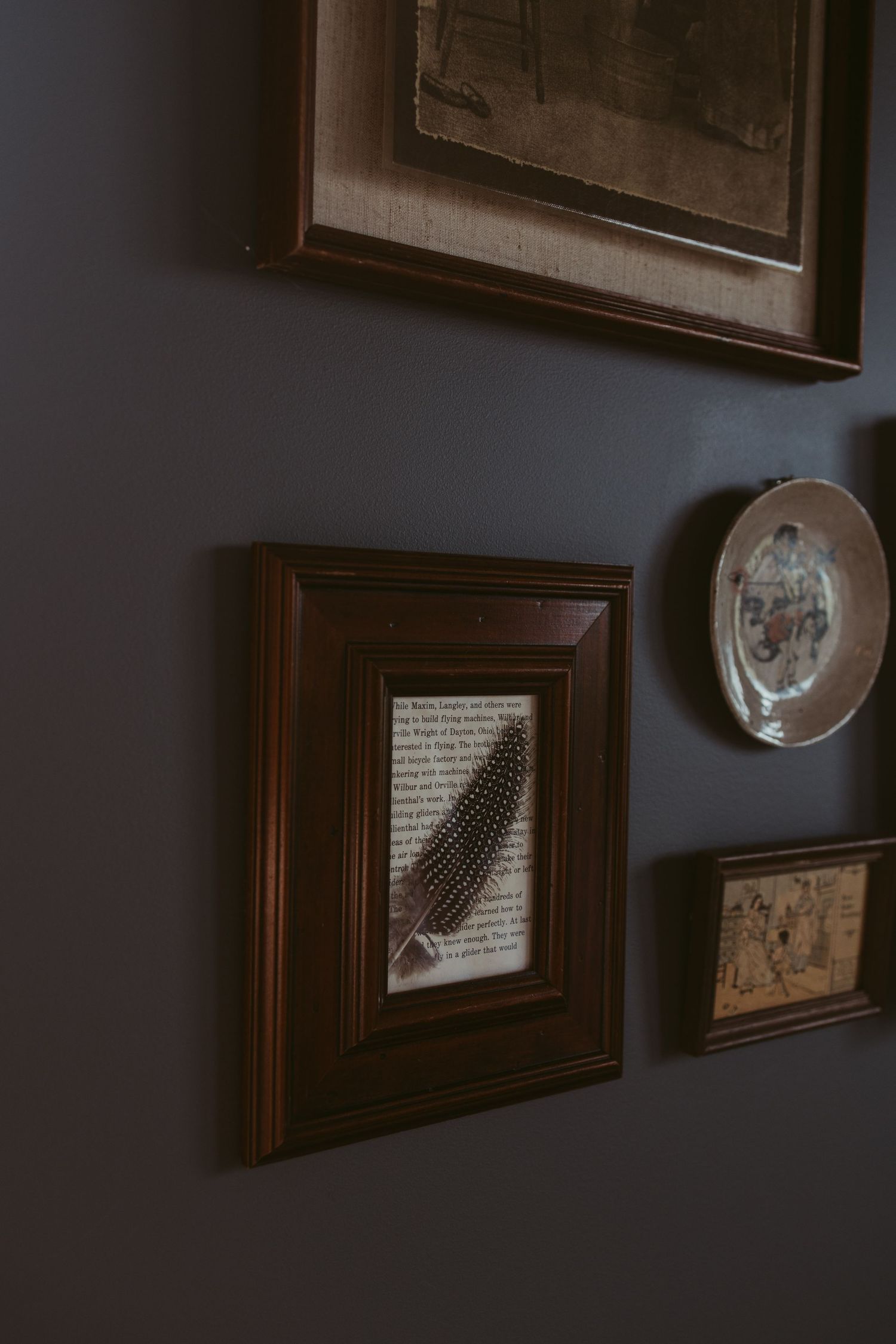 Dark moody gallery wall featuring framed feather art, vintage plate, and antique prints on charcoal wall.