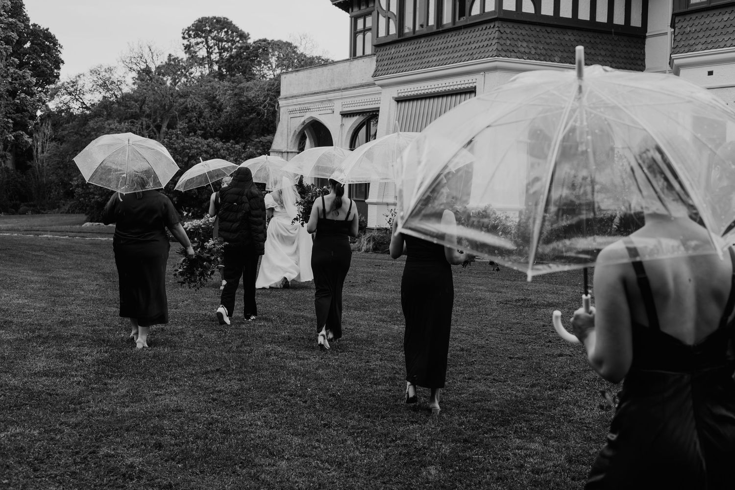 Wedding party walks across lawn with clear umbrellas in black and white photo.