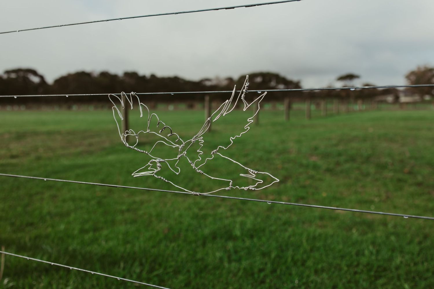 Decorative metal bird sculpture attached to wire fence with green pastoral field in background on cloudy day.