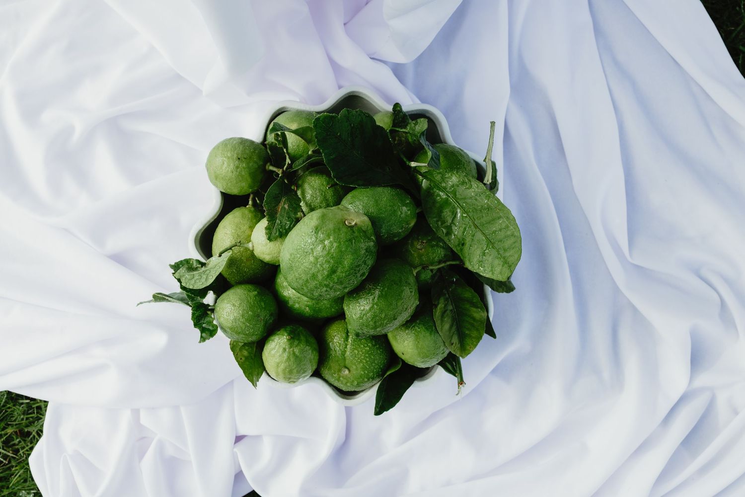 Top view of green floral bouquet with lush leaves resting on white draped fabric outdoors.