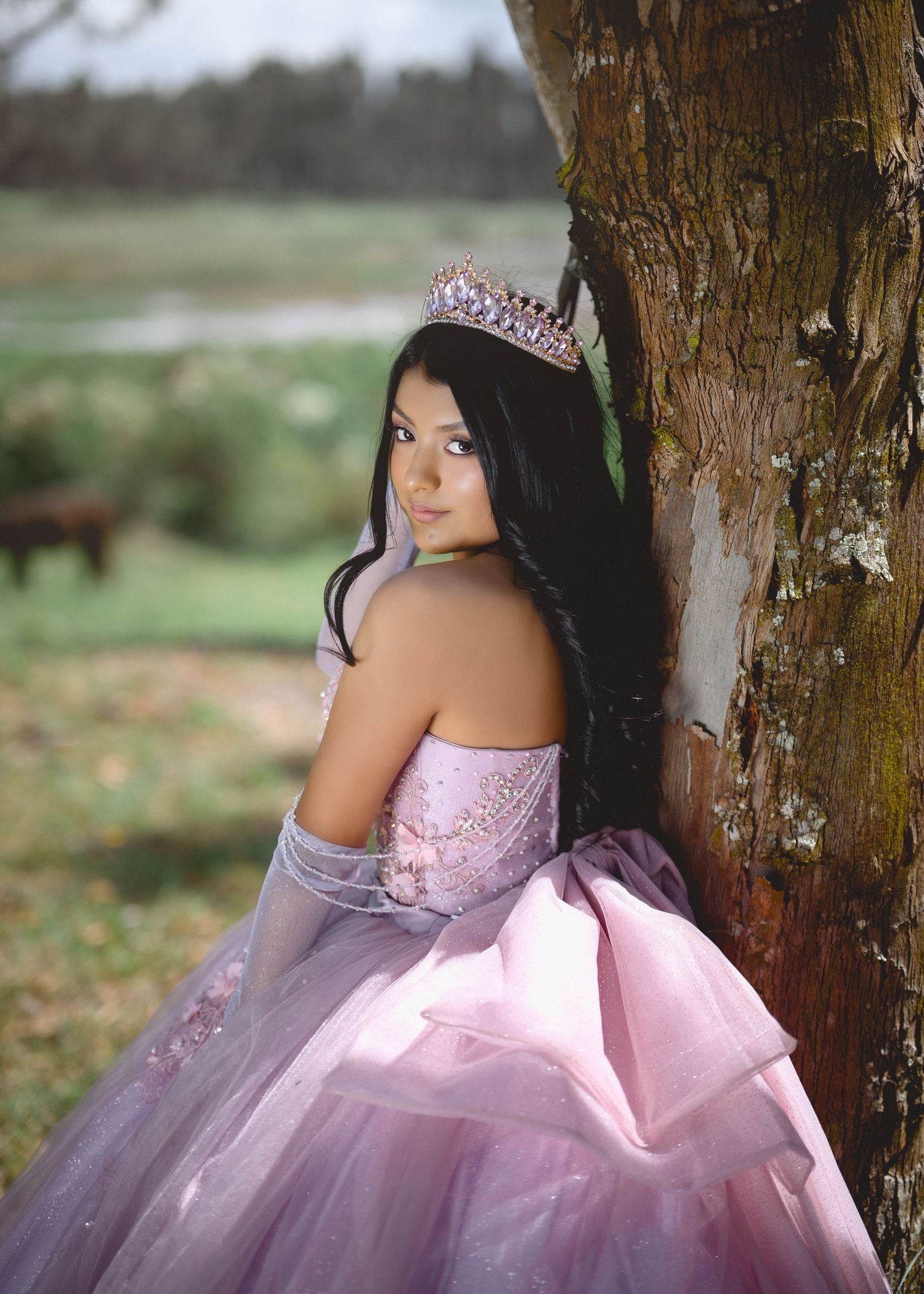 A person in a pink quinceañera gown poses elegantly against a tree trunk in an outdoor setting.